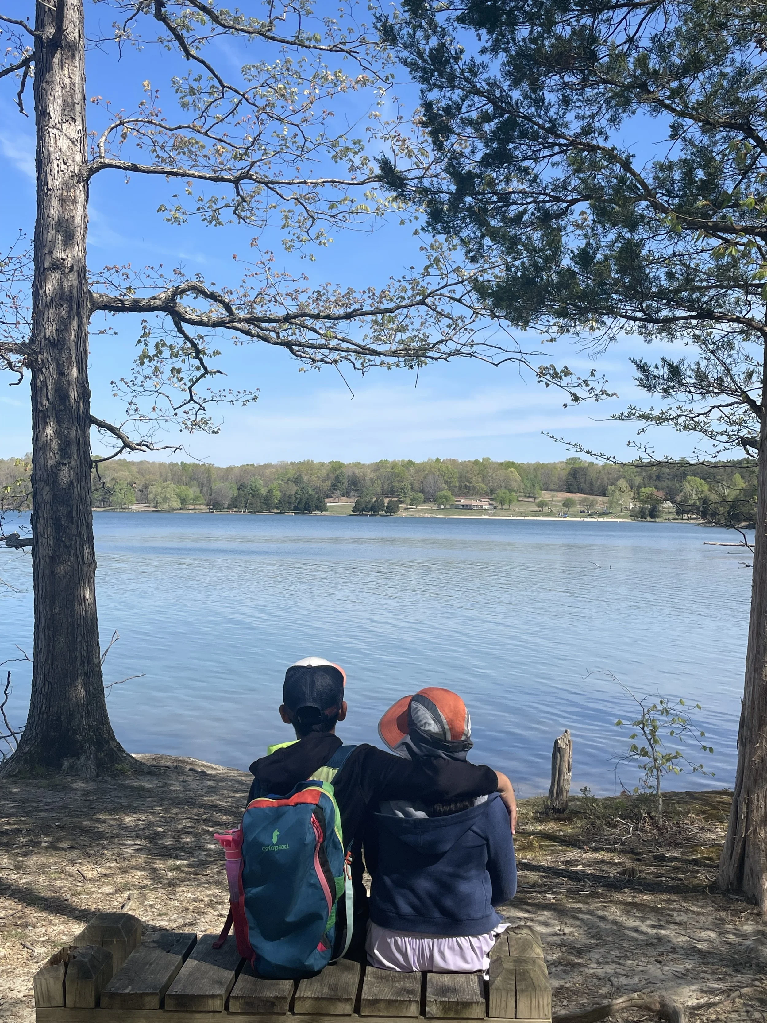 Virginia’s Natural Beauty: A Summer of State Parks and National Forests