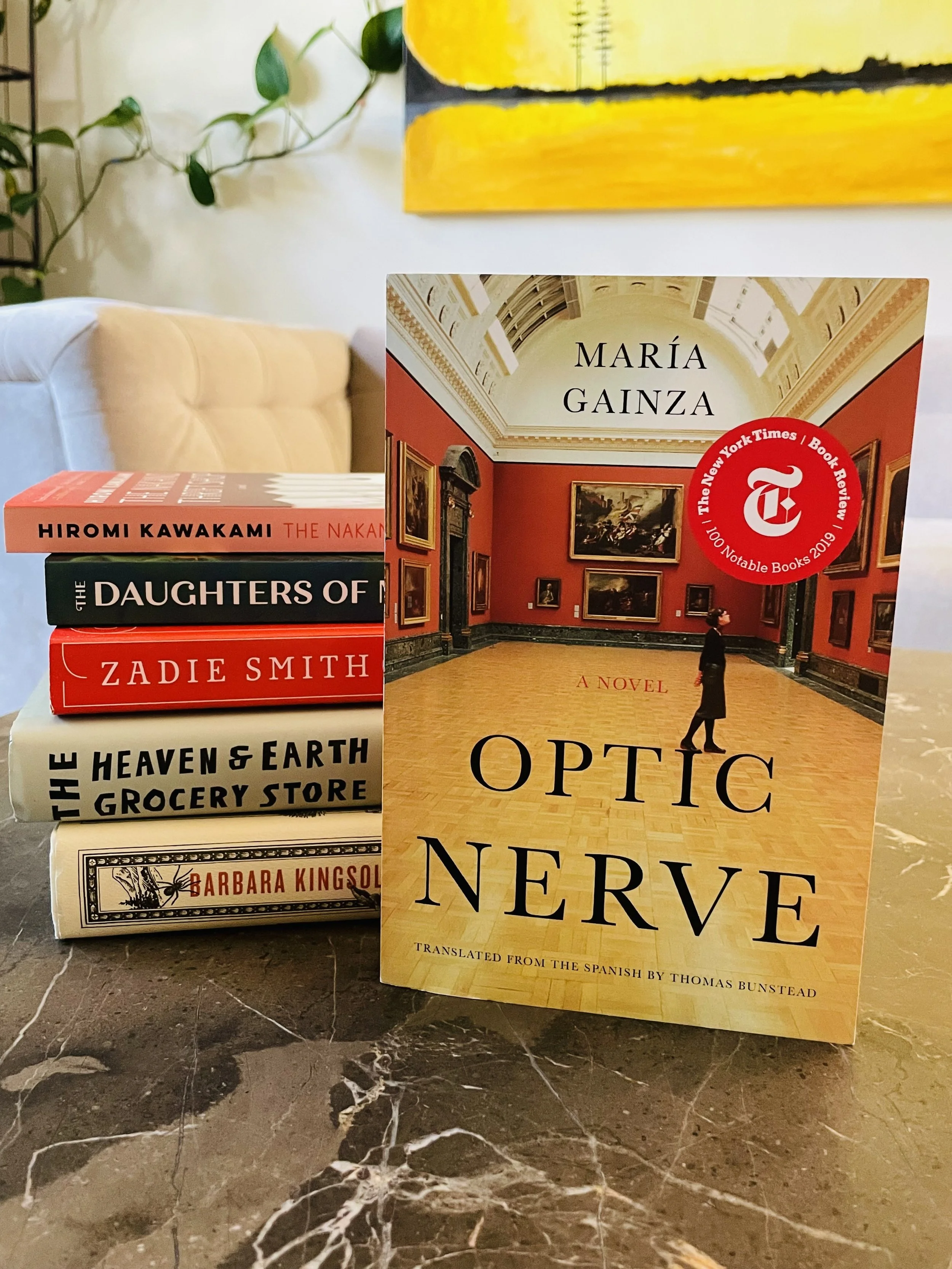 Book Review: Finding Poetic Joy in Optic Nerve