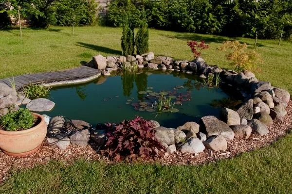 pond-decoration.jpg