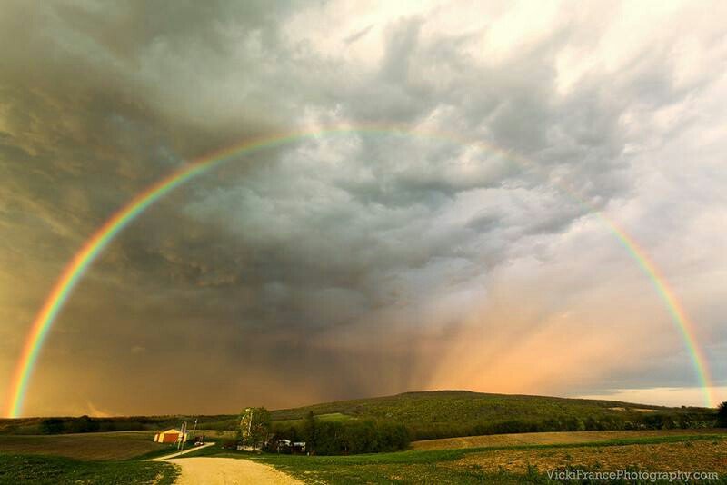 Rainbow
