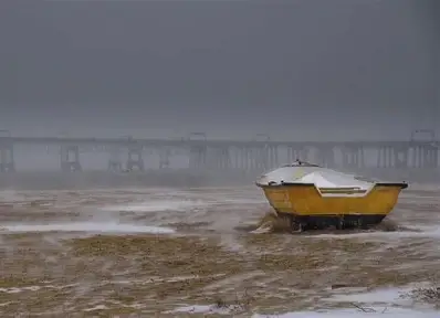 Alone, But Not Forgotten