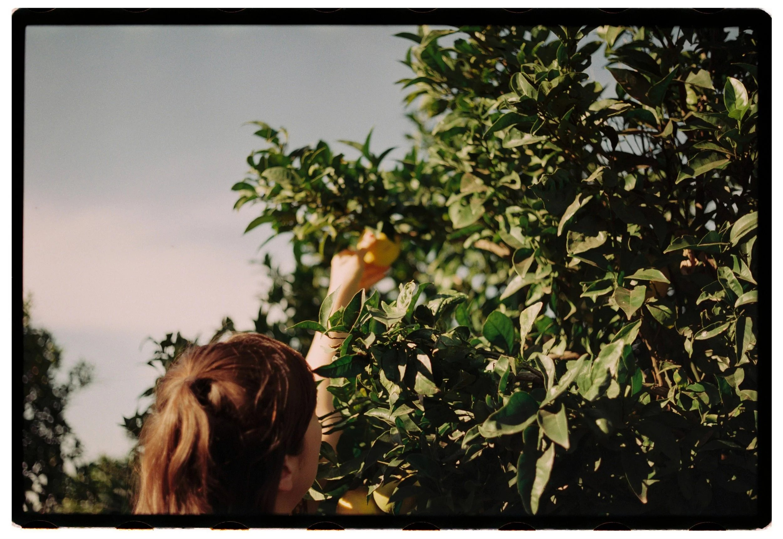 Spain So Far: A Film Photo Essay on Slow Travel, Growth, and Lessons from a Year of Change