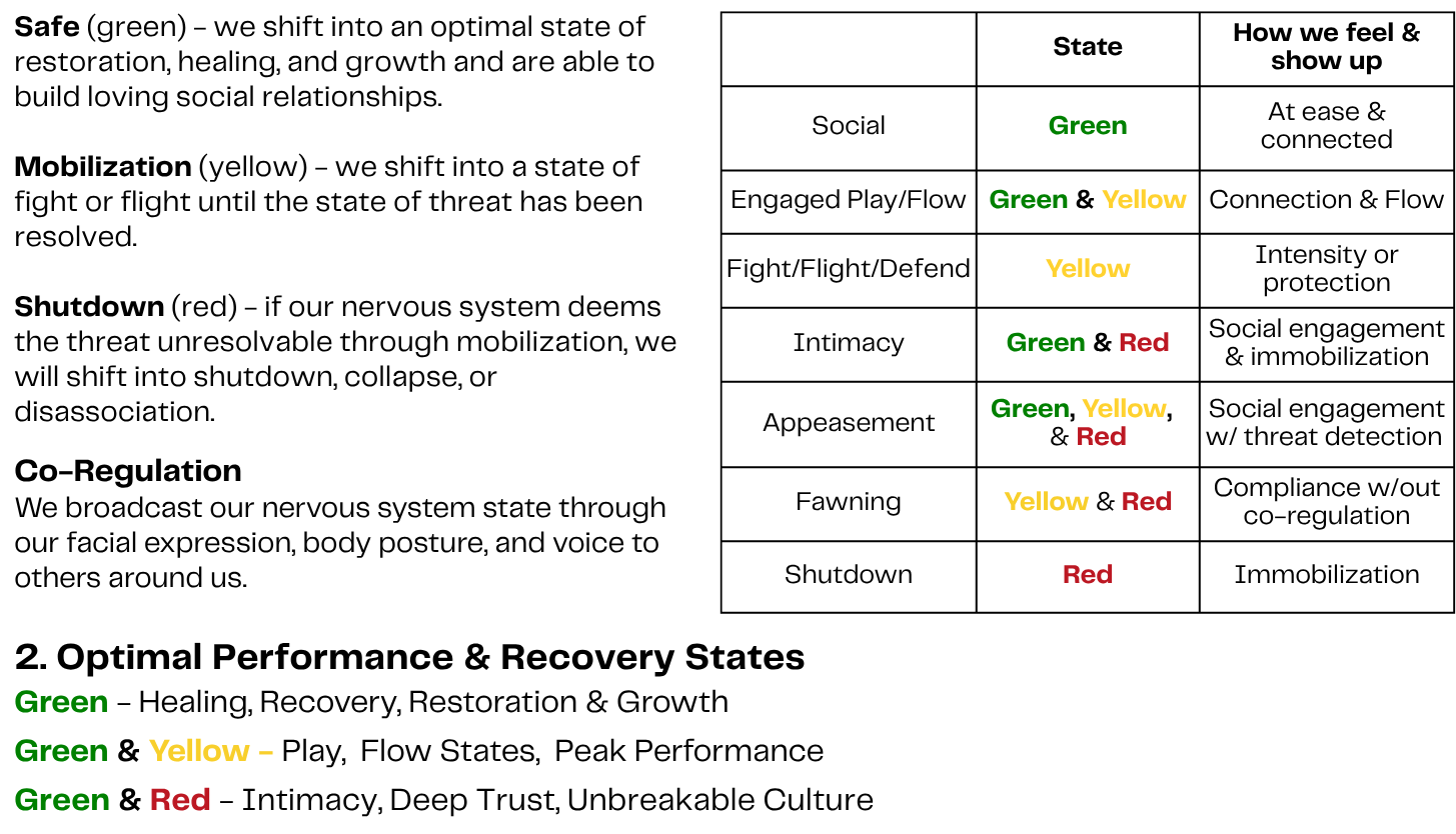 Nervous System Awareness for Optimal Performance, Recovery & Growth