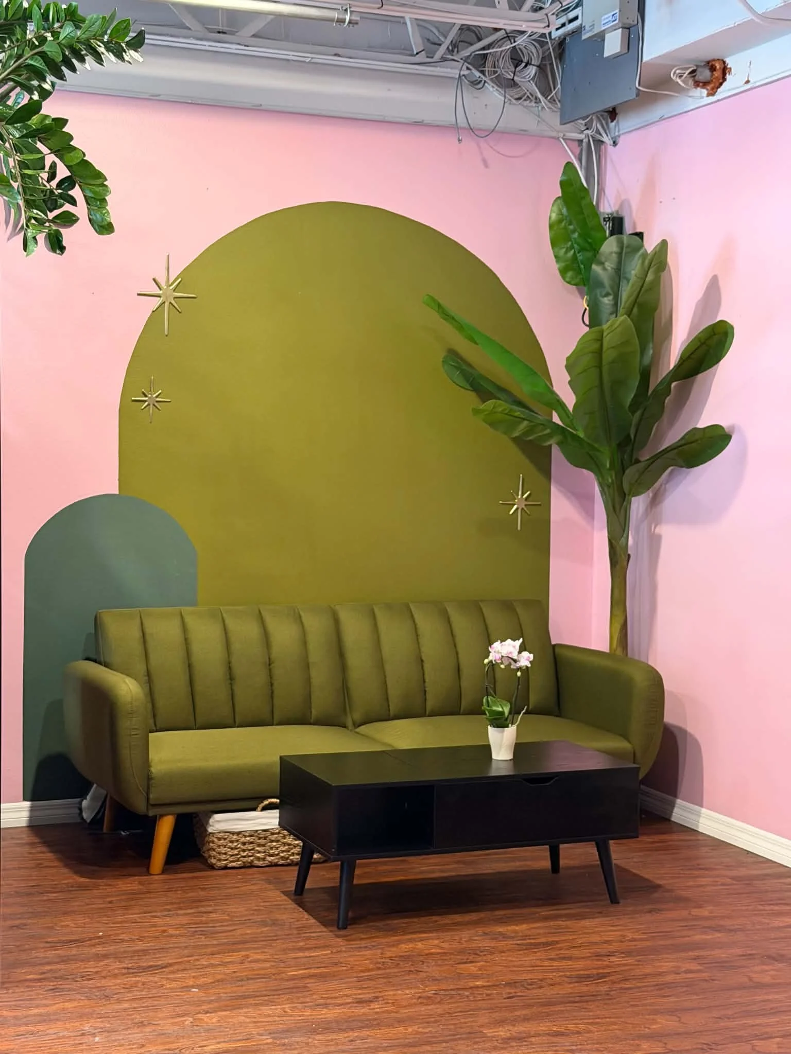 A cozy indoor space with pink walls and a green sofa. There is a black coffee table in front of the sofa with a white vase holding pink orchids. A large green leafy plant is on the right side, and a smaller potted plant is on the upper left corner. T