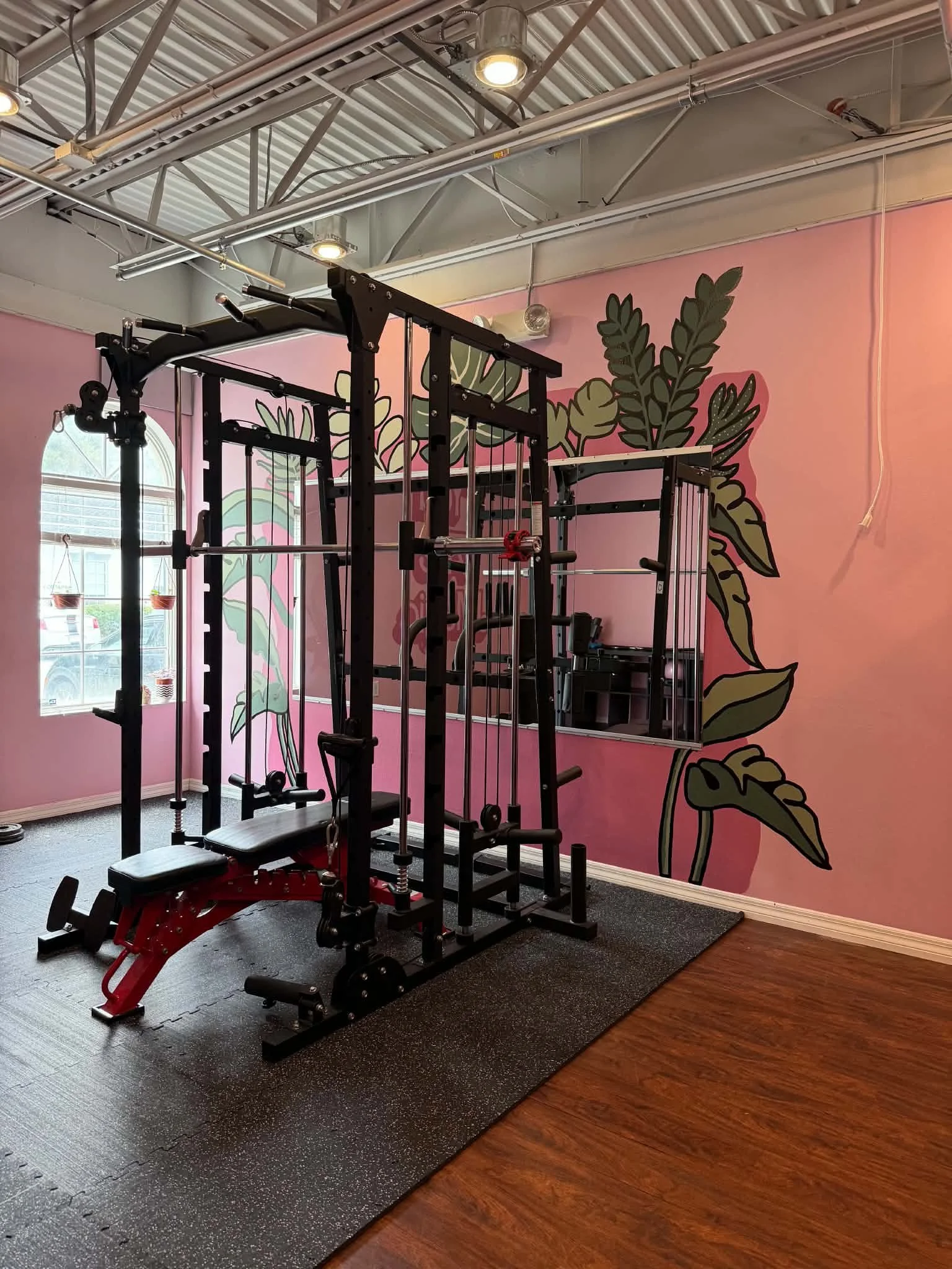 Gym area with black workout equipment on a gray cushioned floor, pink wall with green leaf art, and window with hanging small potted plants.