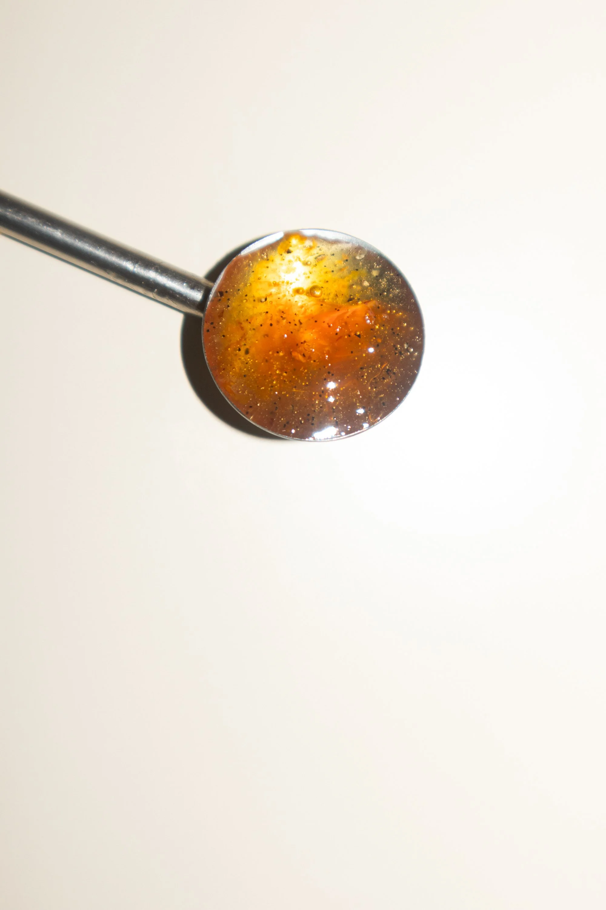 January Bun Drop-8.jpg