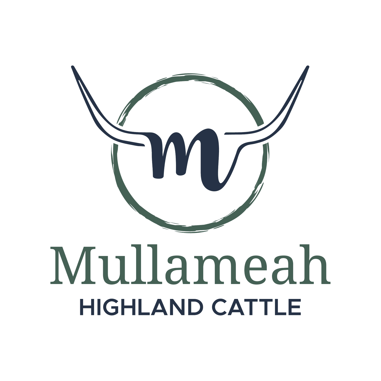Mullameah Highland Cattle