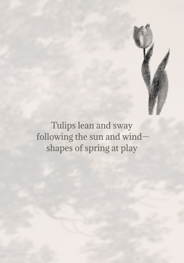 Screen Shot 2026-04-07 at 4.06.14 PM.png