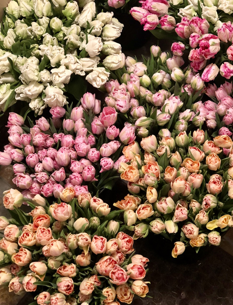 Screen Shot 2026-04-29 at 9.48.59 AM.png