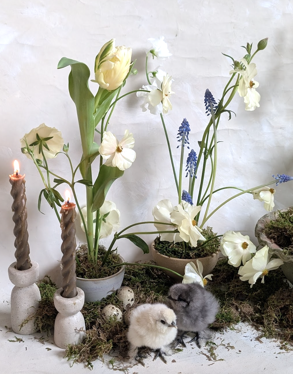 Screen Shot 2026-03-14 at 11.59.17 AM.png