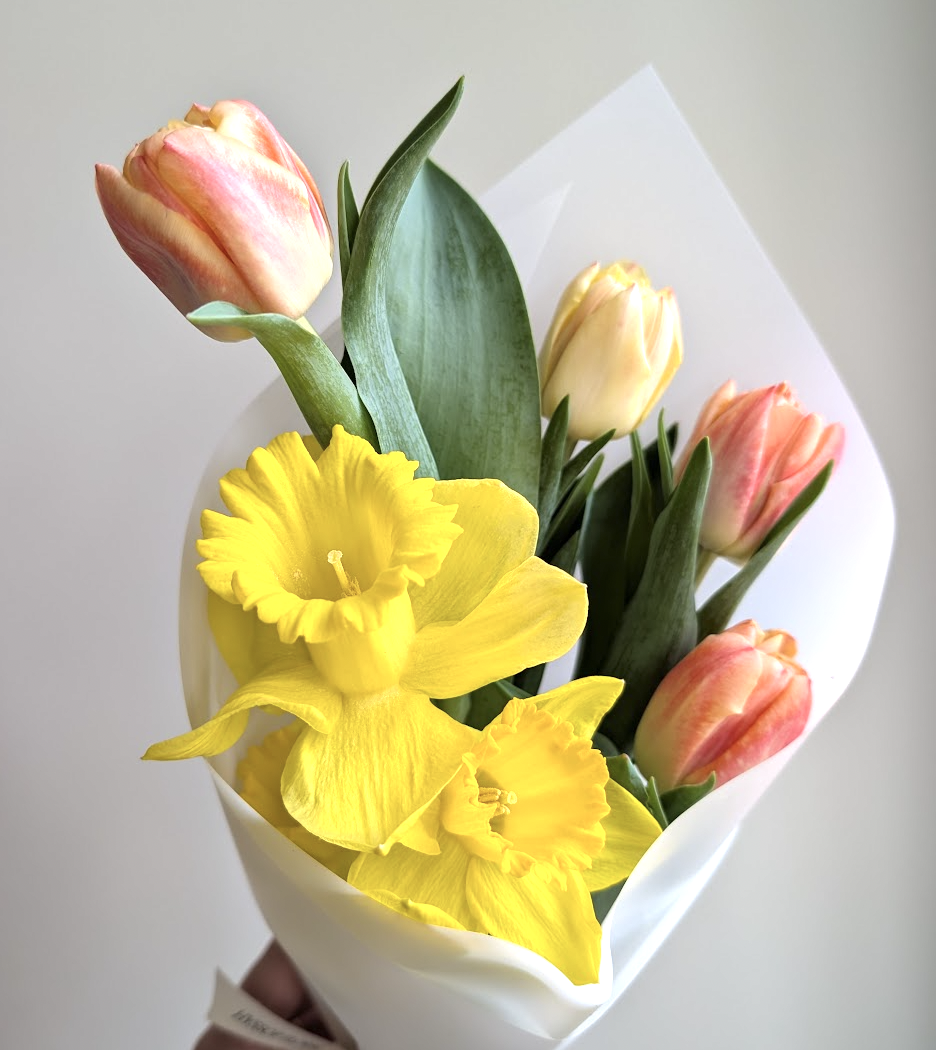 Screen Shot 2026-03-14 at 2.29.21 PM.png