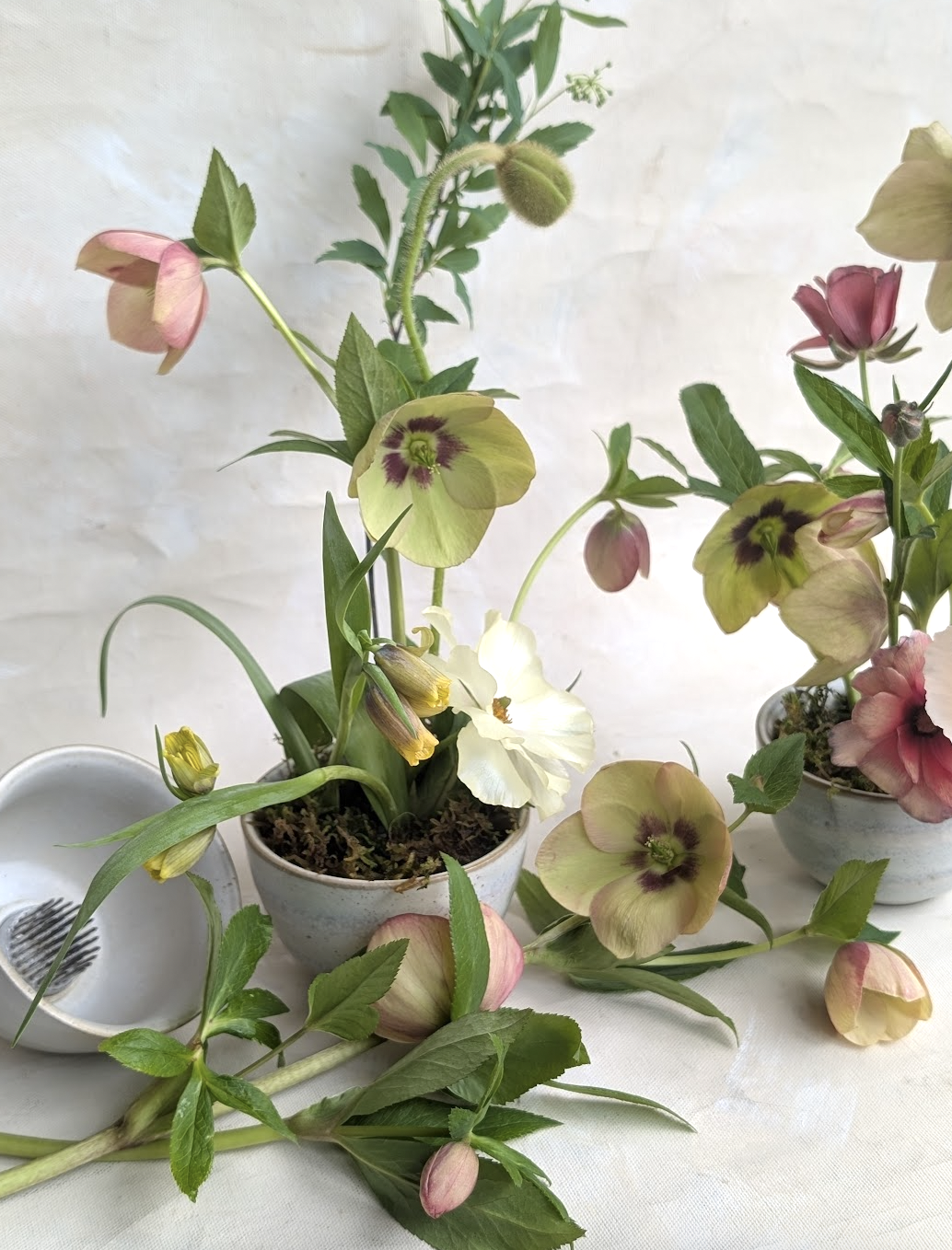 Screen Shot 2026-03-14 at 11.49.38 AM.png