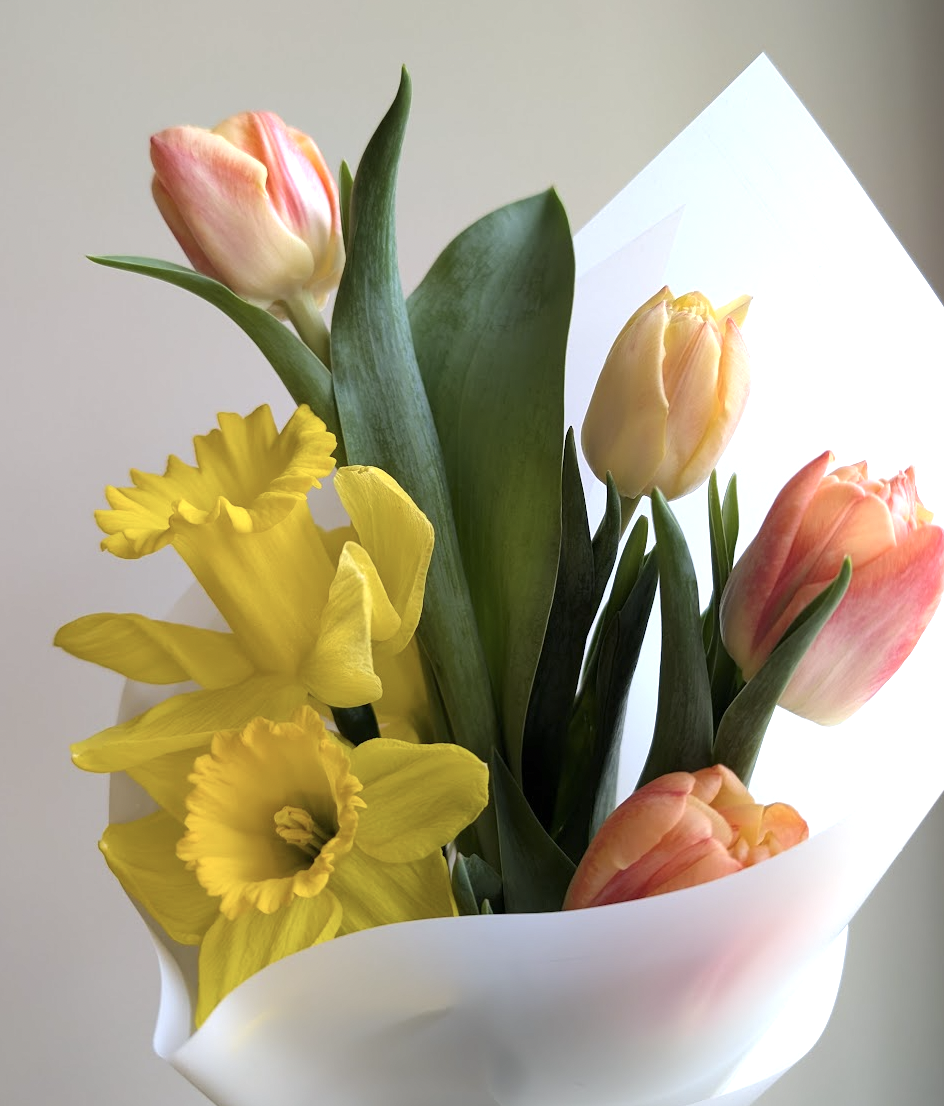 Screen Shot 2026-03-14 at 2.29.30 PM.png