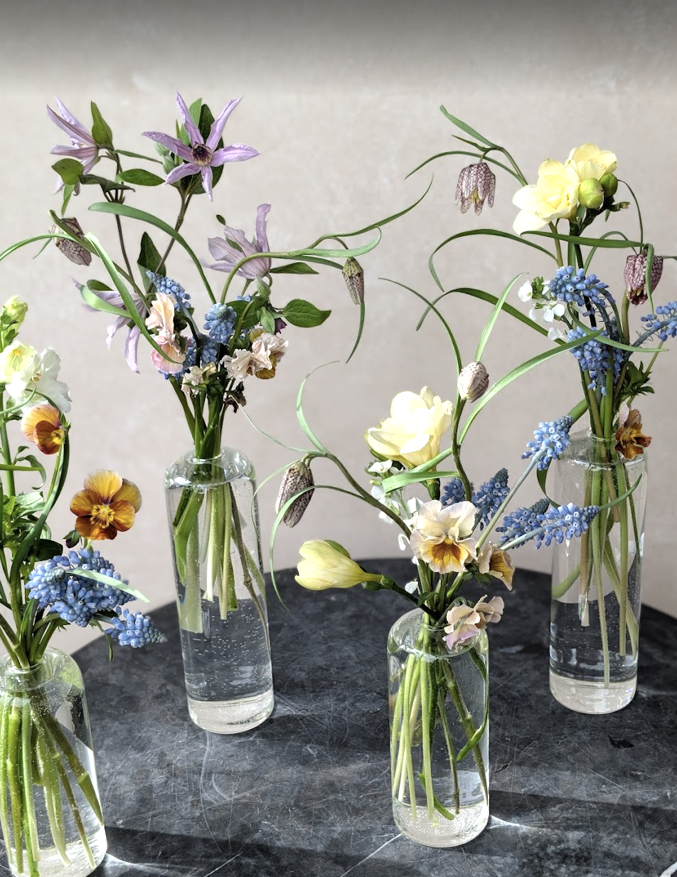 Screen Shot 2026-04-29 at 10.03.32 AM.png