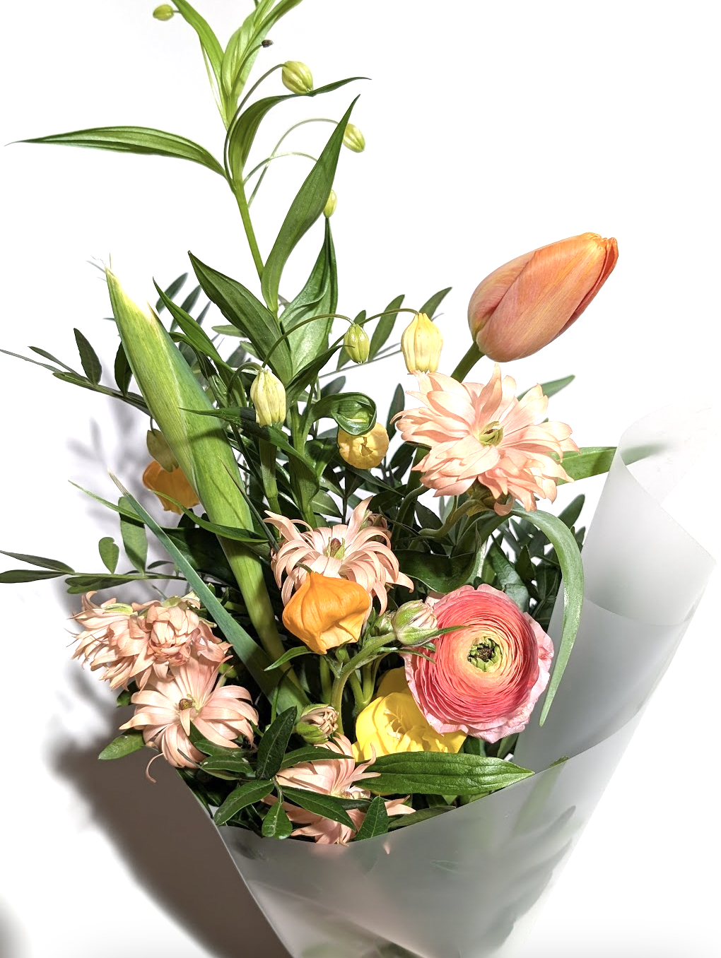 Screen Shot 2026-03-14 at 2.25.53 PM.png