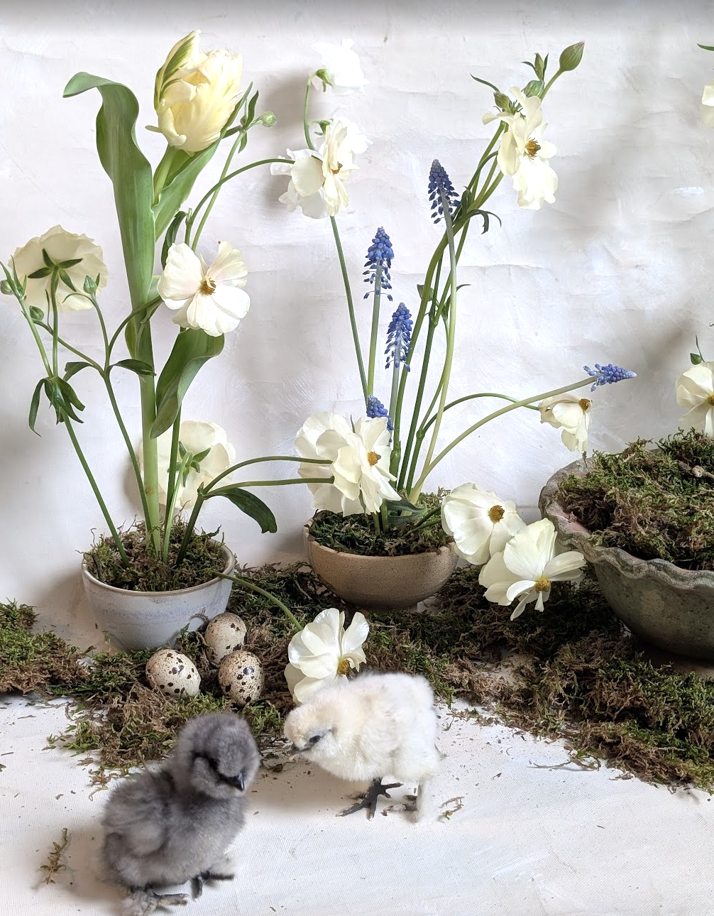 Screen Shot 2026-03-14 at 11.59.00 AM.png