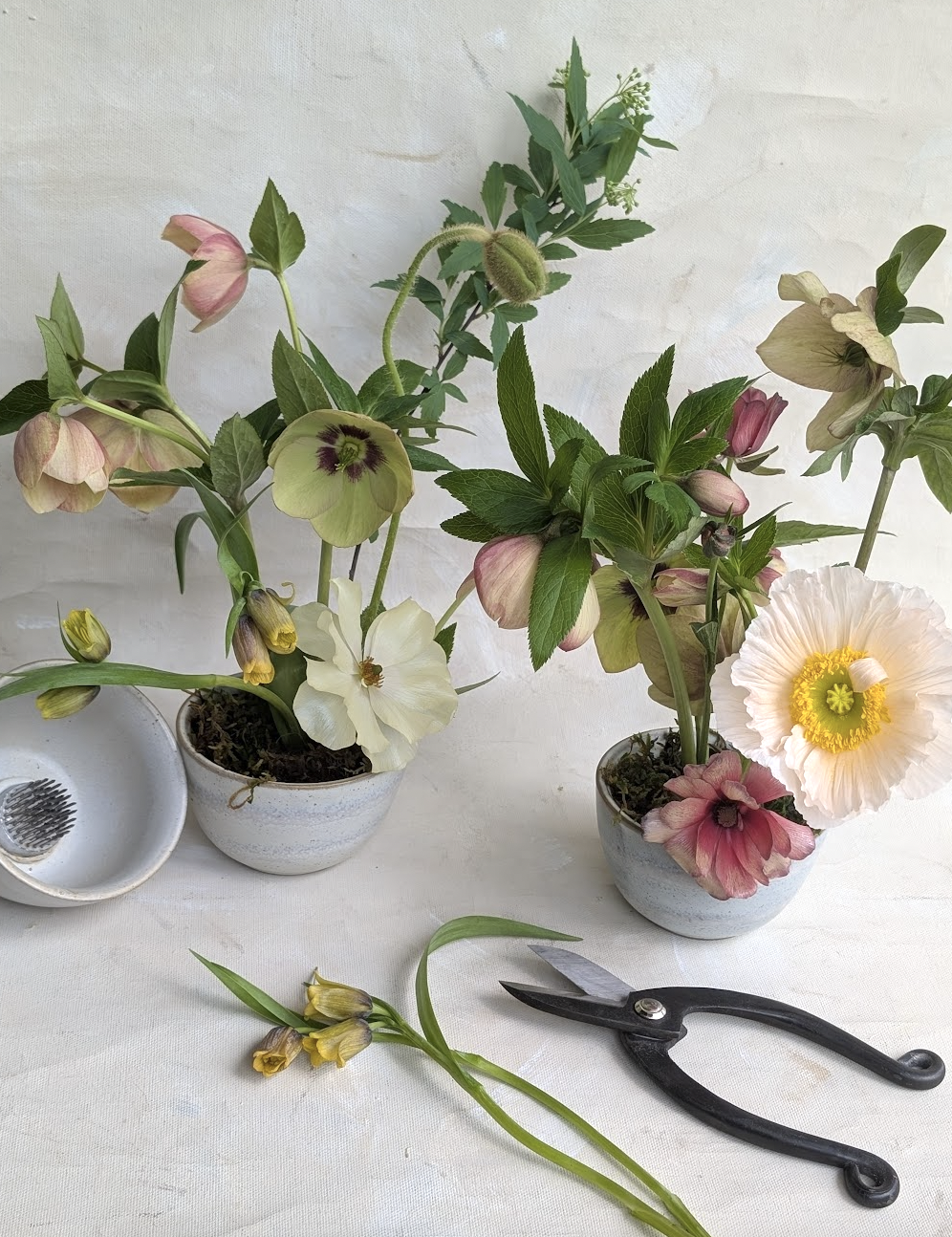 Screen Shot 2026-03-14 at 11.50.12 AM.png