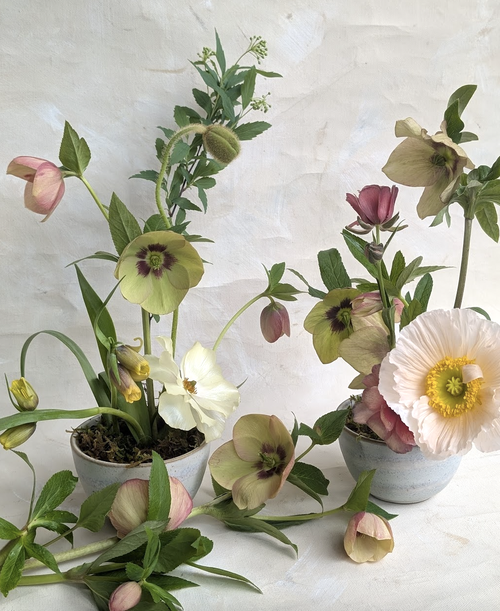 Screen Shot 2026-03-14 at 11.49.45 AM.png