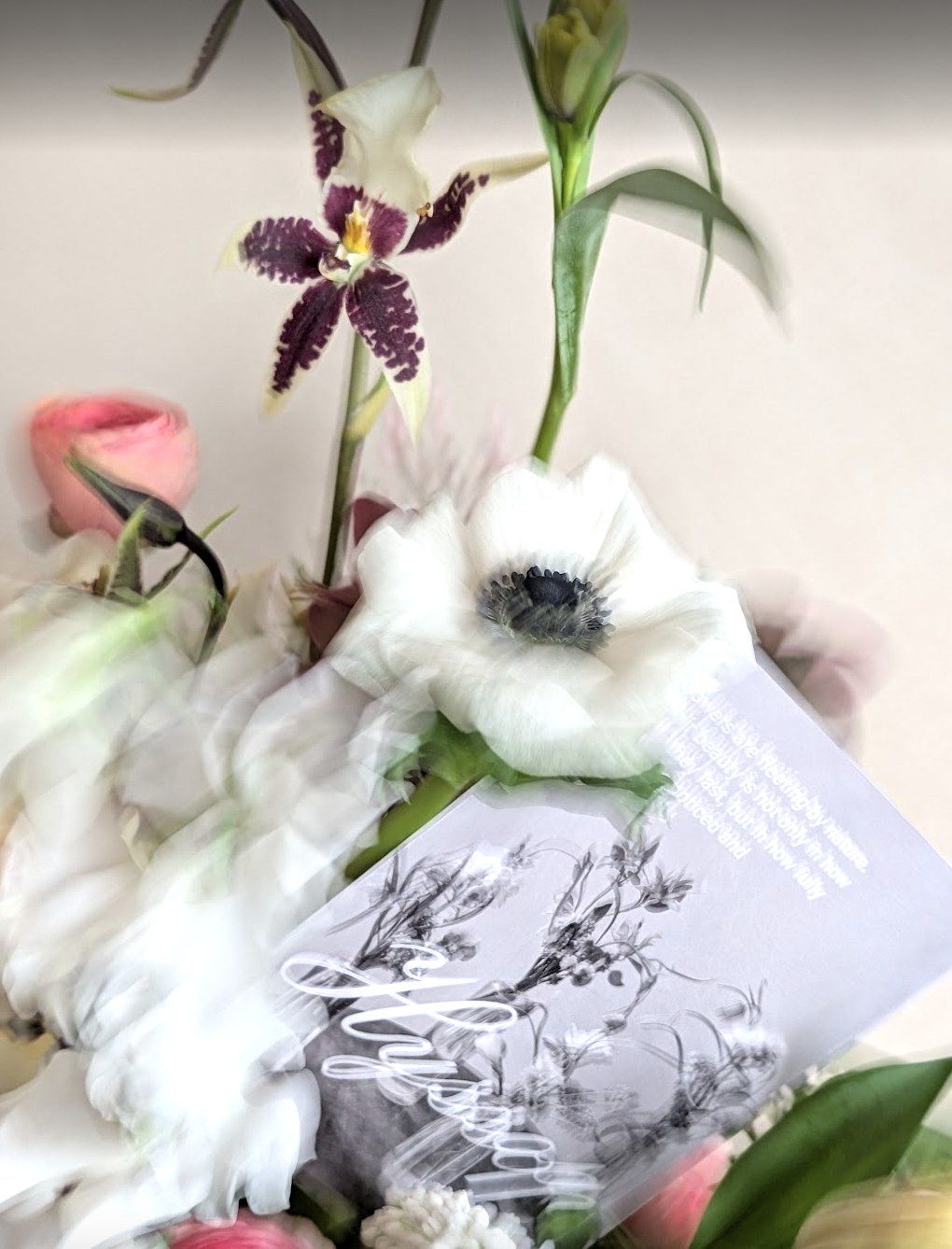 Screen Shot 2026-04-29 at 10.00.12 AM.png