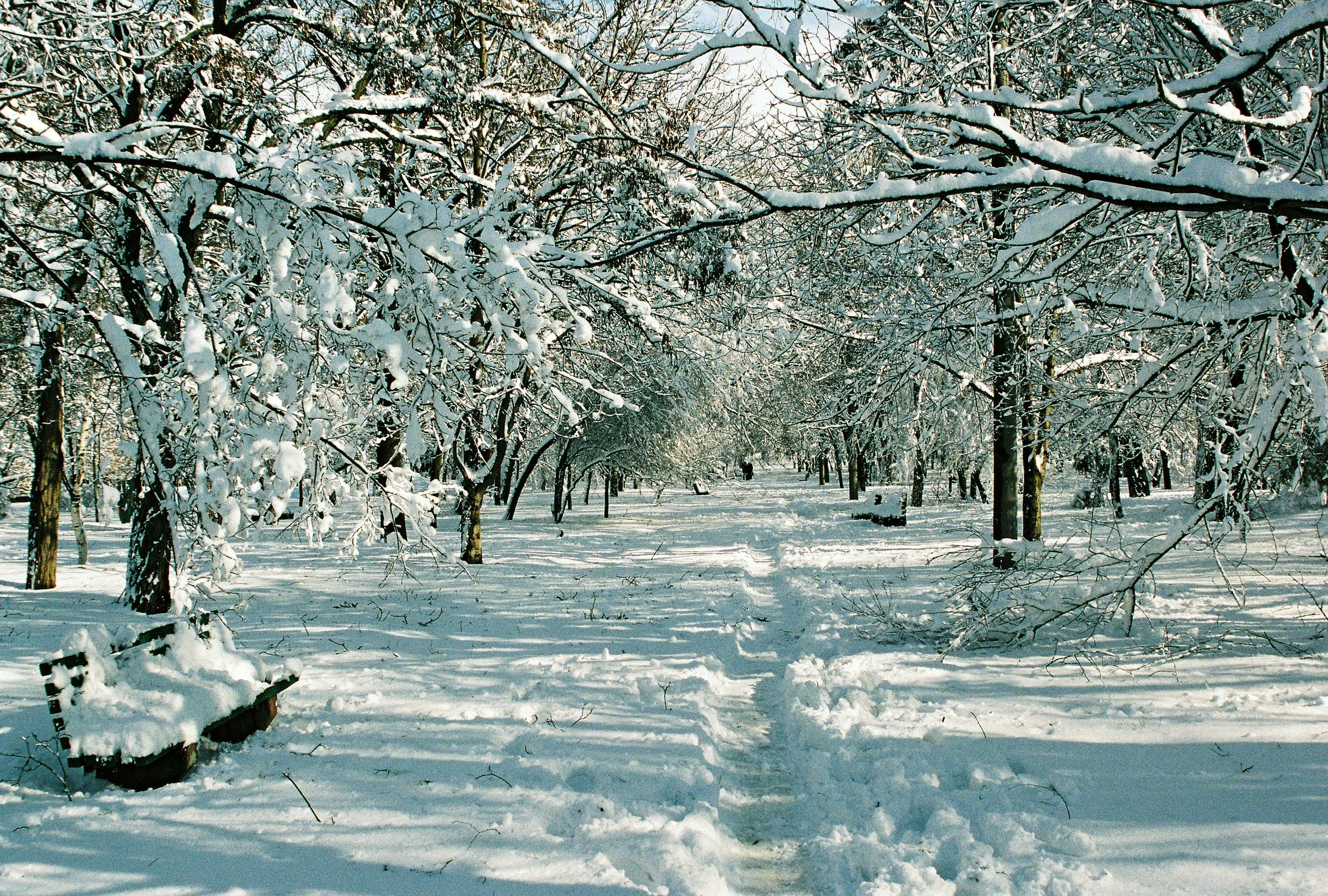 Anxiety in the New Year: Why It Often Gets Worse and How Therapy Can Help