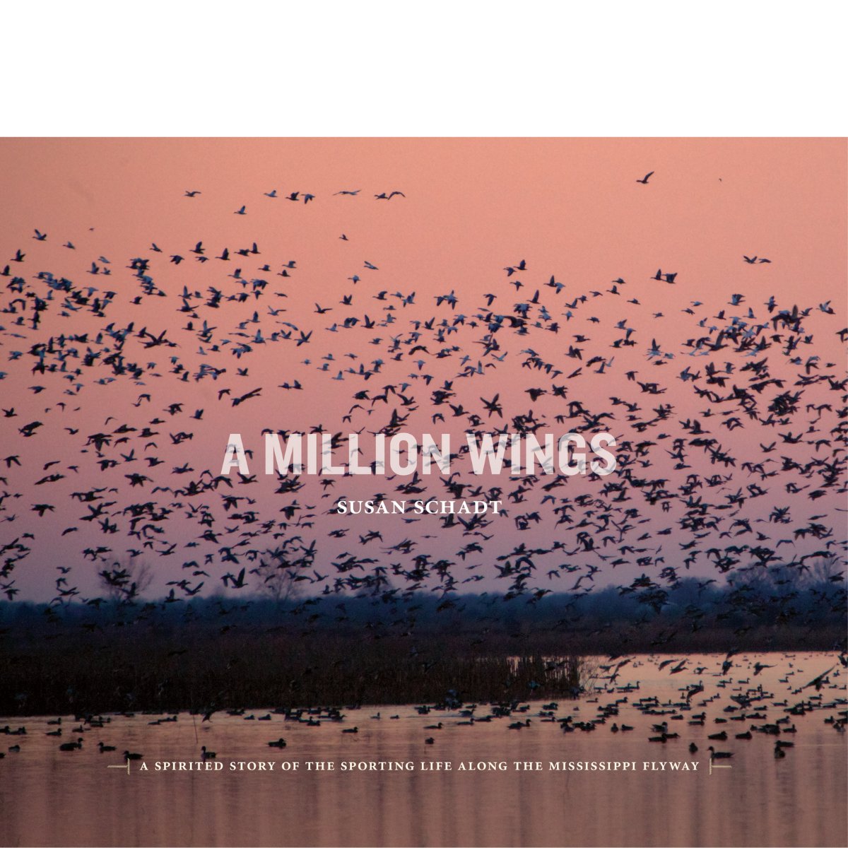 A Million Wings