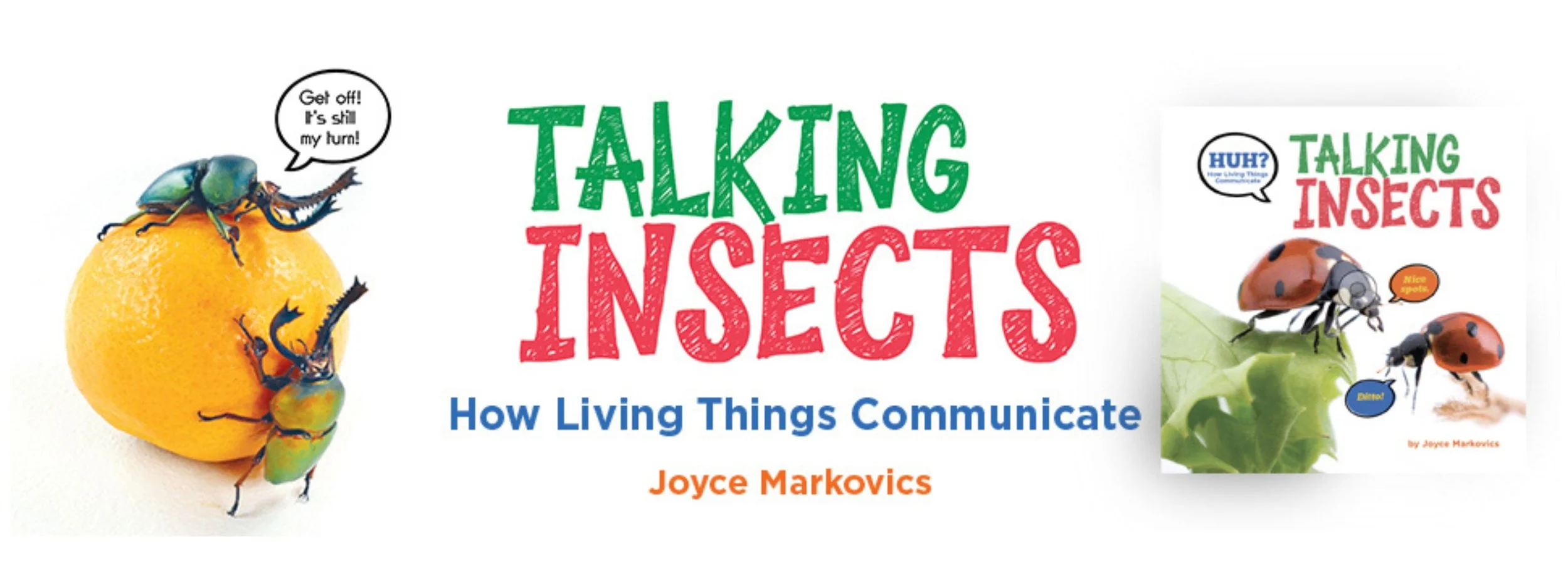 Untitled design (4).jpg