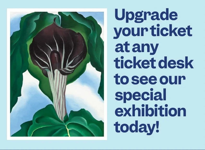 Table tents to sell membership and exhibition tickets. Placed on all dining tables at the MFA. 