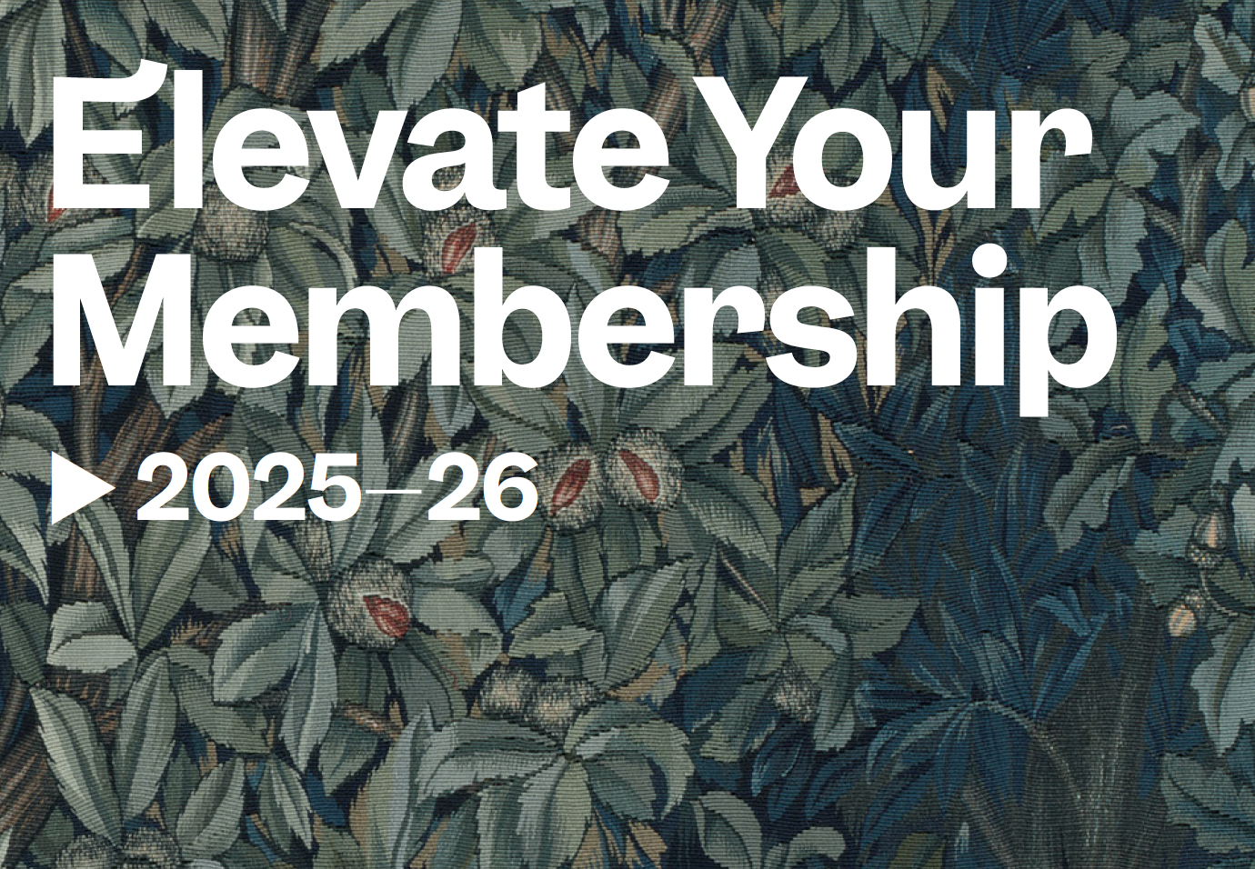 Print and digital brochure sent to current and prospective members at different levels and ages. I edit and write this entire brochure within a very short timeline. 