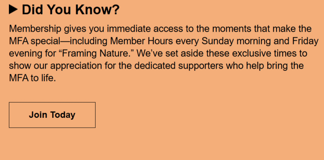 Membership "ad" in a general programs newsletter, in support for the spring membership campaign.