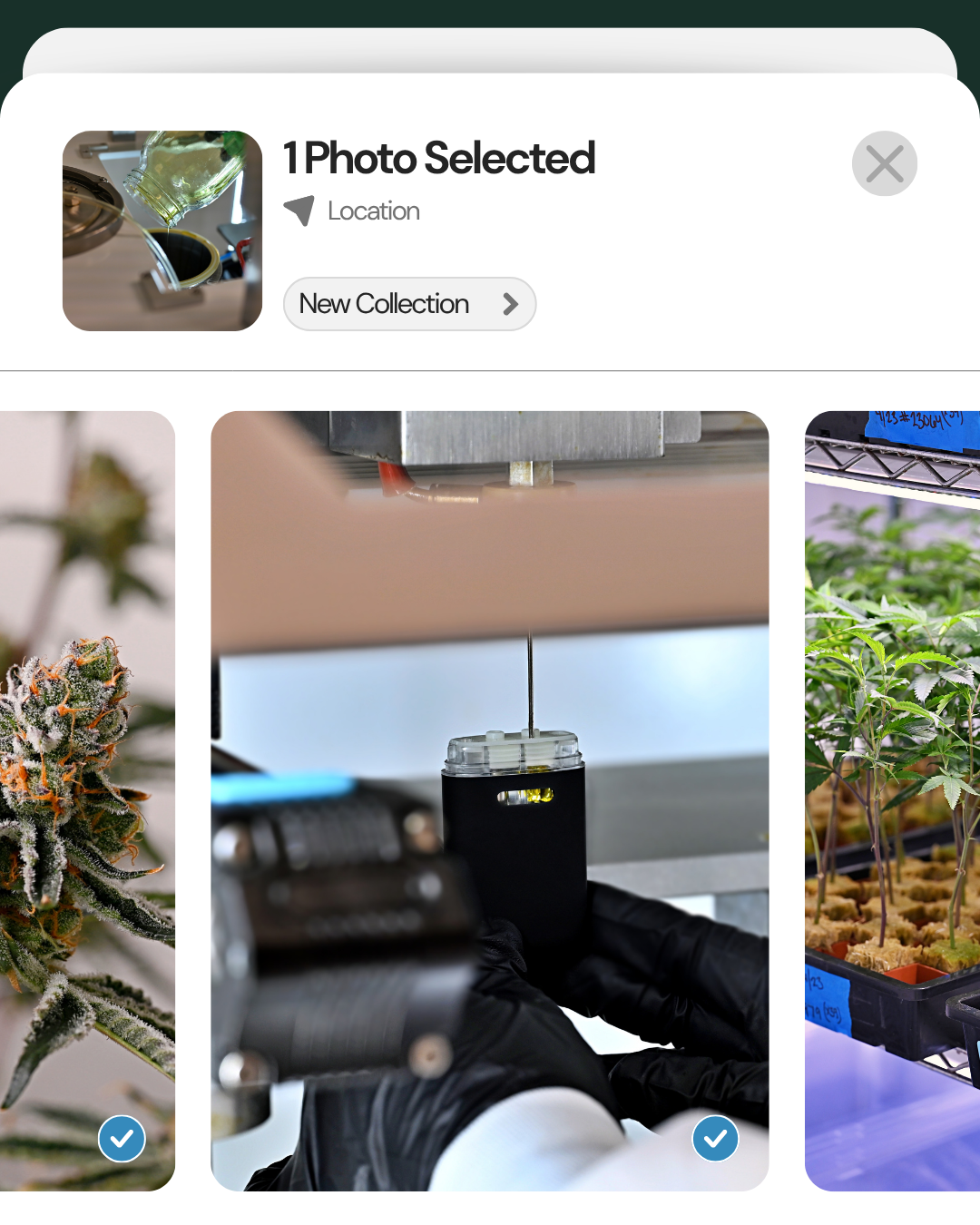 Airo
Alien Labs
Altus
AMA
Amaze
Amaze Cannabis
Anthologie
Apeks
Apeks Supercritical
AiroPro
Airo Brands
Baked AF
Bam
Bask
Beboe
Binske
Blum
Bohemian Brothers
Bombs
Bond Road
Boulder Cannabis
Breezy
Budz
CAMP
Cann
Cannavative
Cannavative Group
Cannava