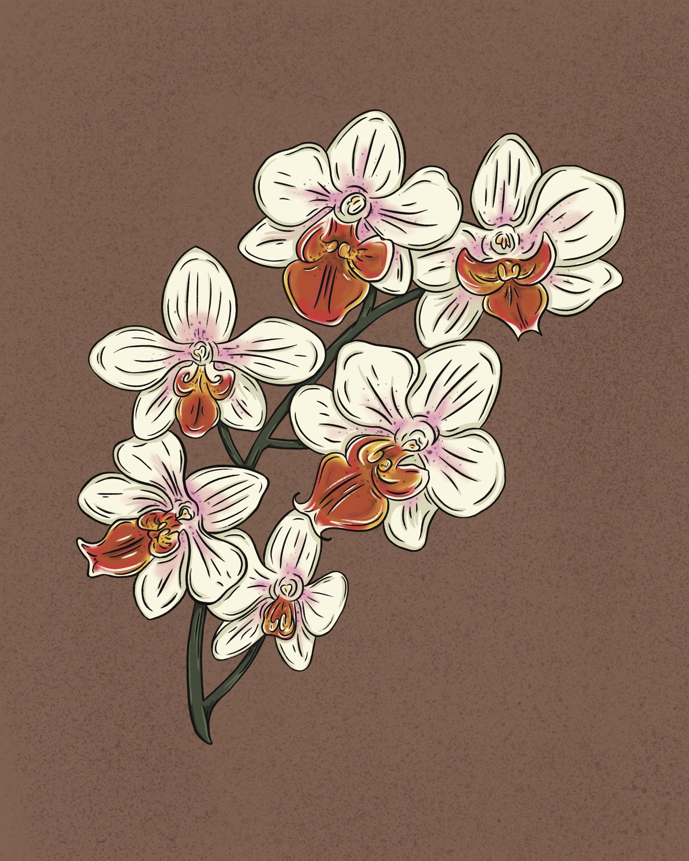 LP_Orchids.jpg