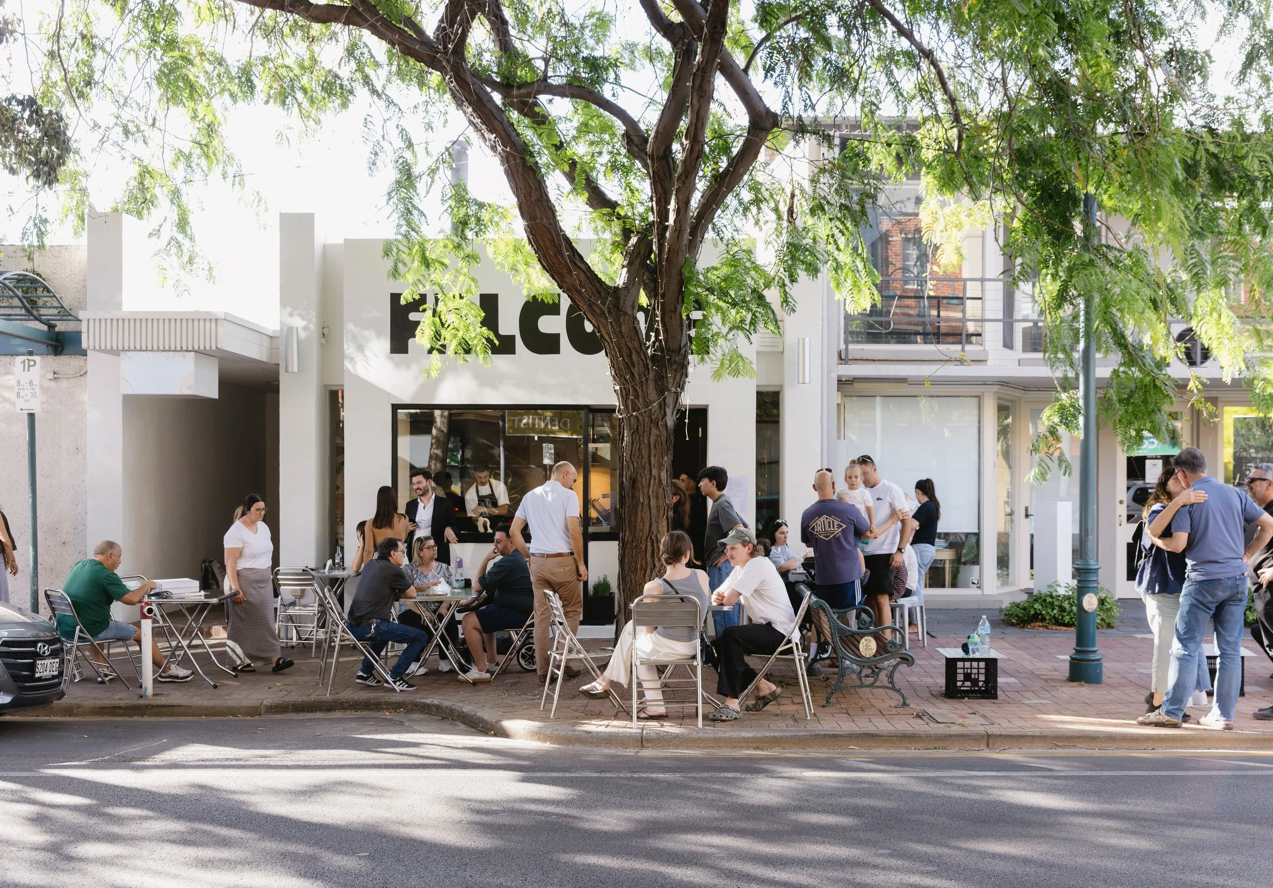 Falcone_Megan Cox_1 of 26.jpg