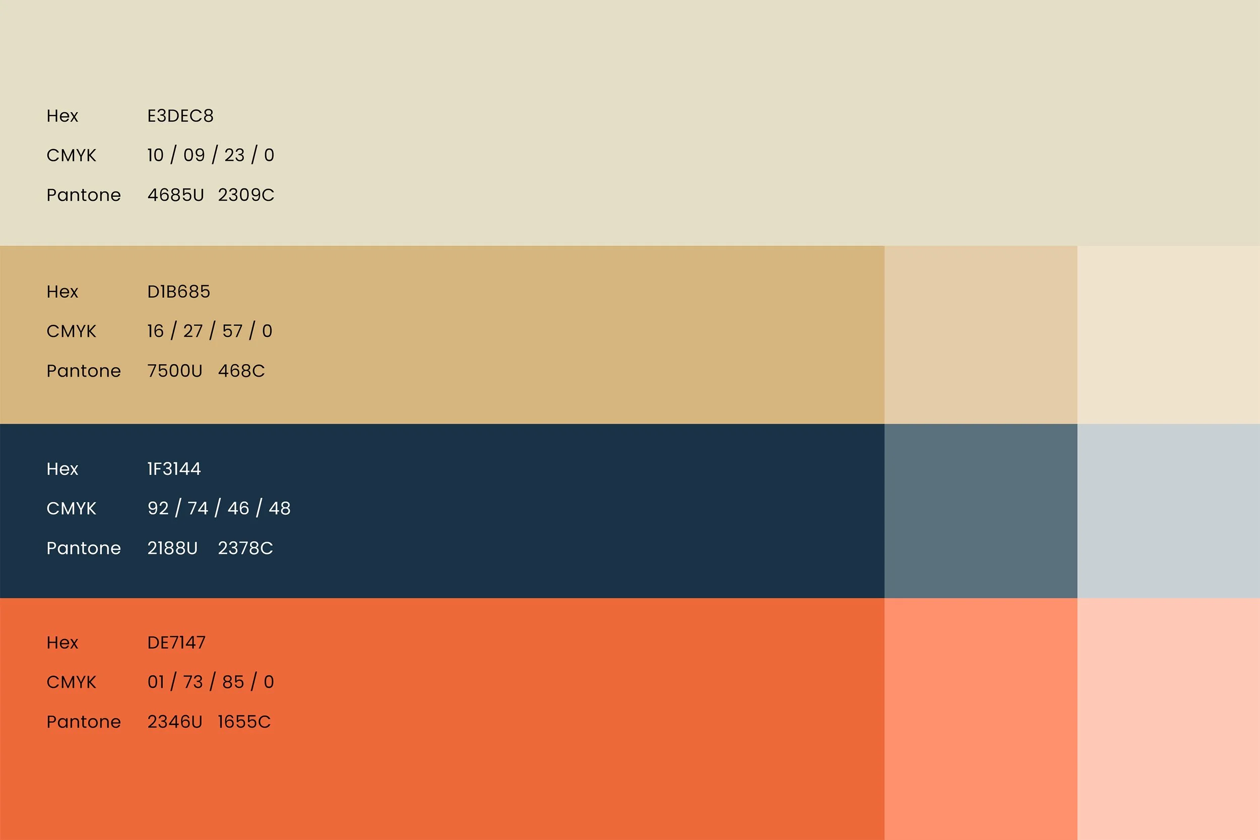 TD_Colors.jpg