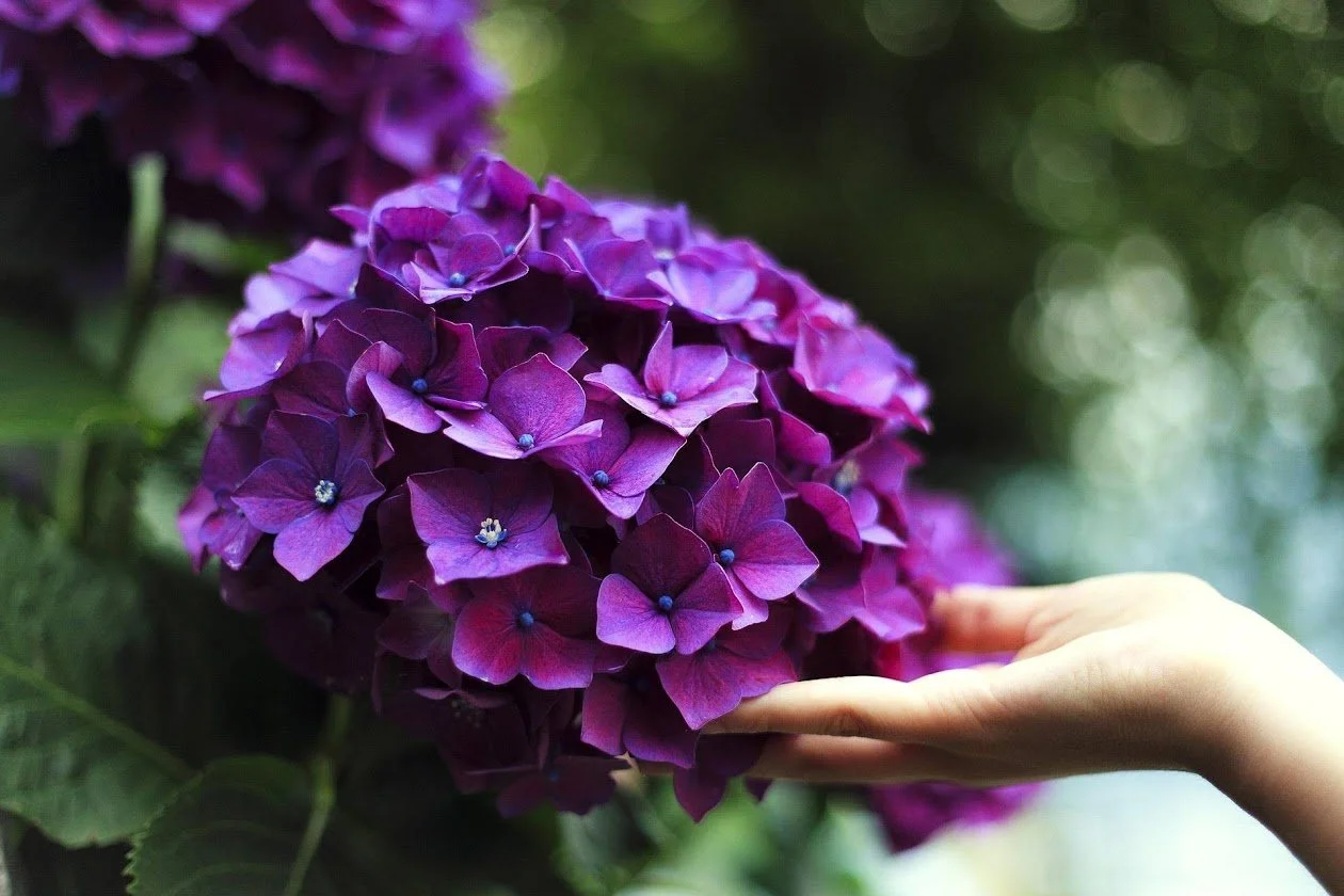 August 3.5-Days Retreat: Life Beyond Trauma