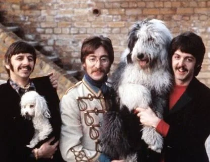 Paws Through Time: The Unbreakable Bond Between Dogs and Their Humans