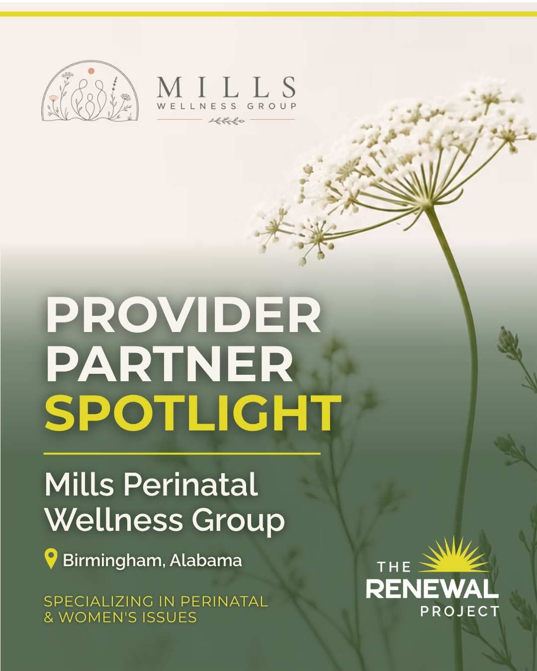 🌿 Provider Partner Spotlight: Mills Perinatal Wellness Group

This month, we&rsquo;re highlighting our Mills Perinatal Wellness Group, a trusted partner specializing in perinatal and women&rsquo;s mental health. From pregnancy and postpartum anxiety