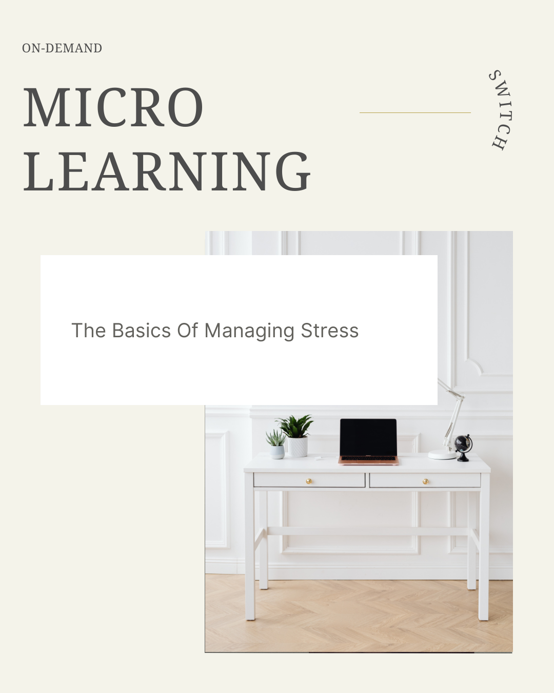 The Basics Of Managing Stress.png