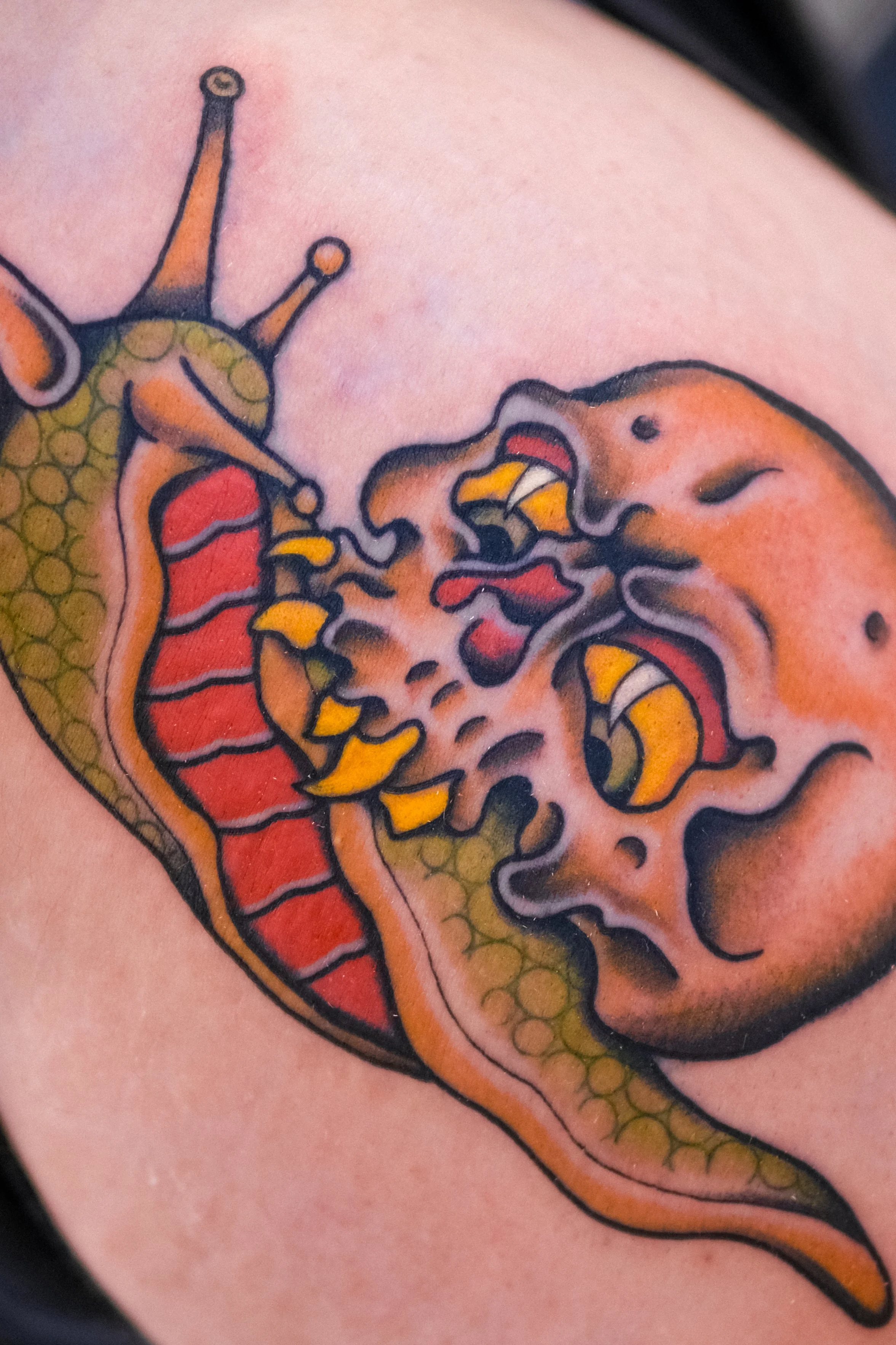 Close-up of a colorful snake tattoo on skin.