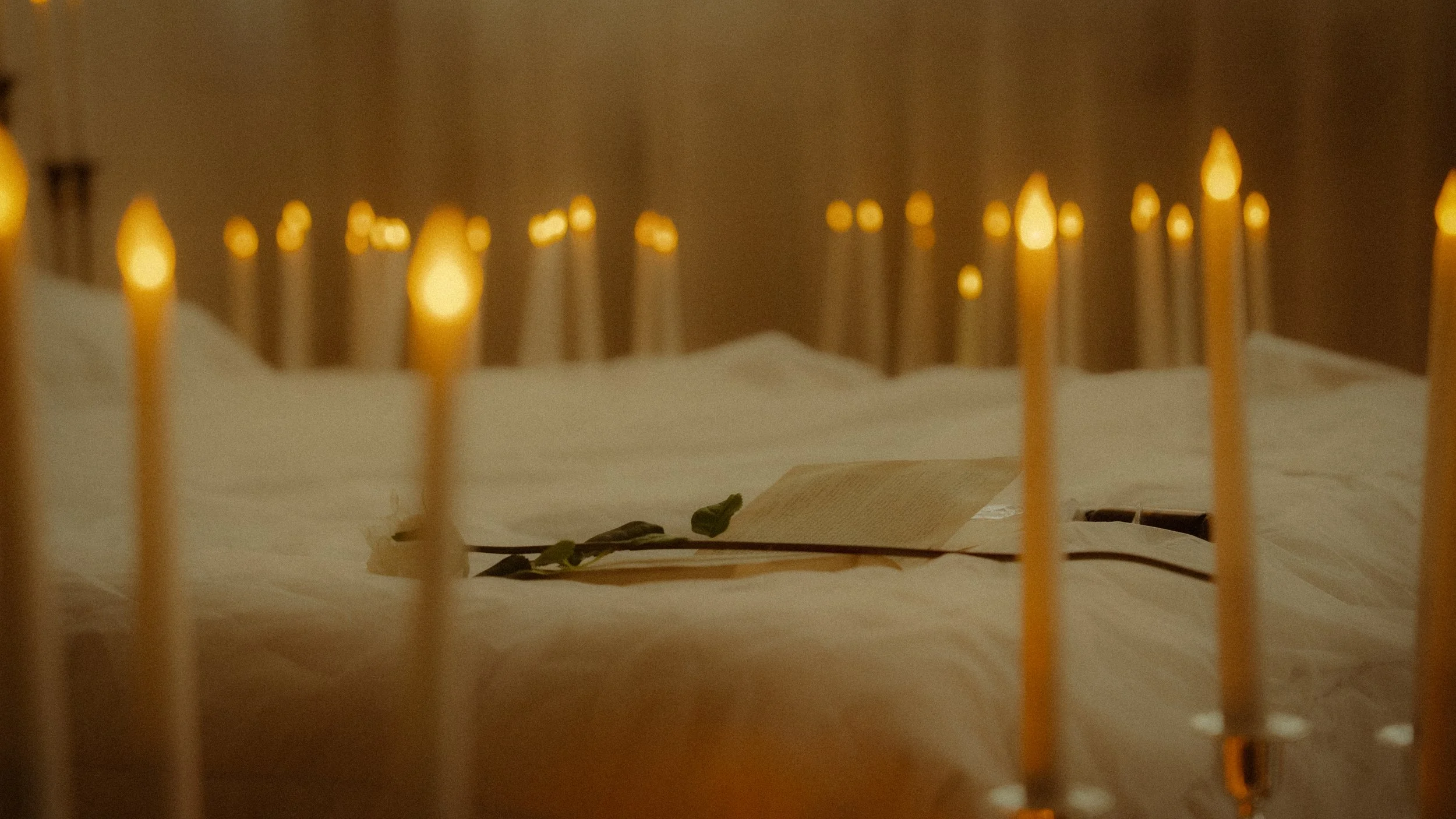 Cailee Maeve Photography -201.jpg