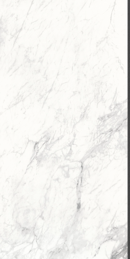 Snowy white_2.png