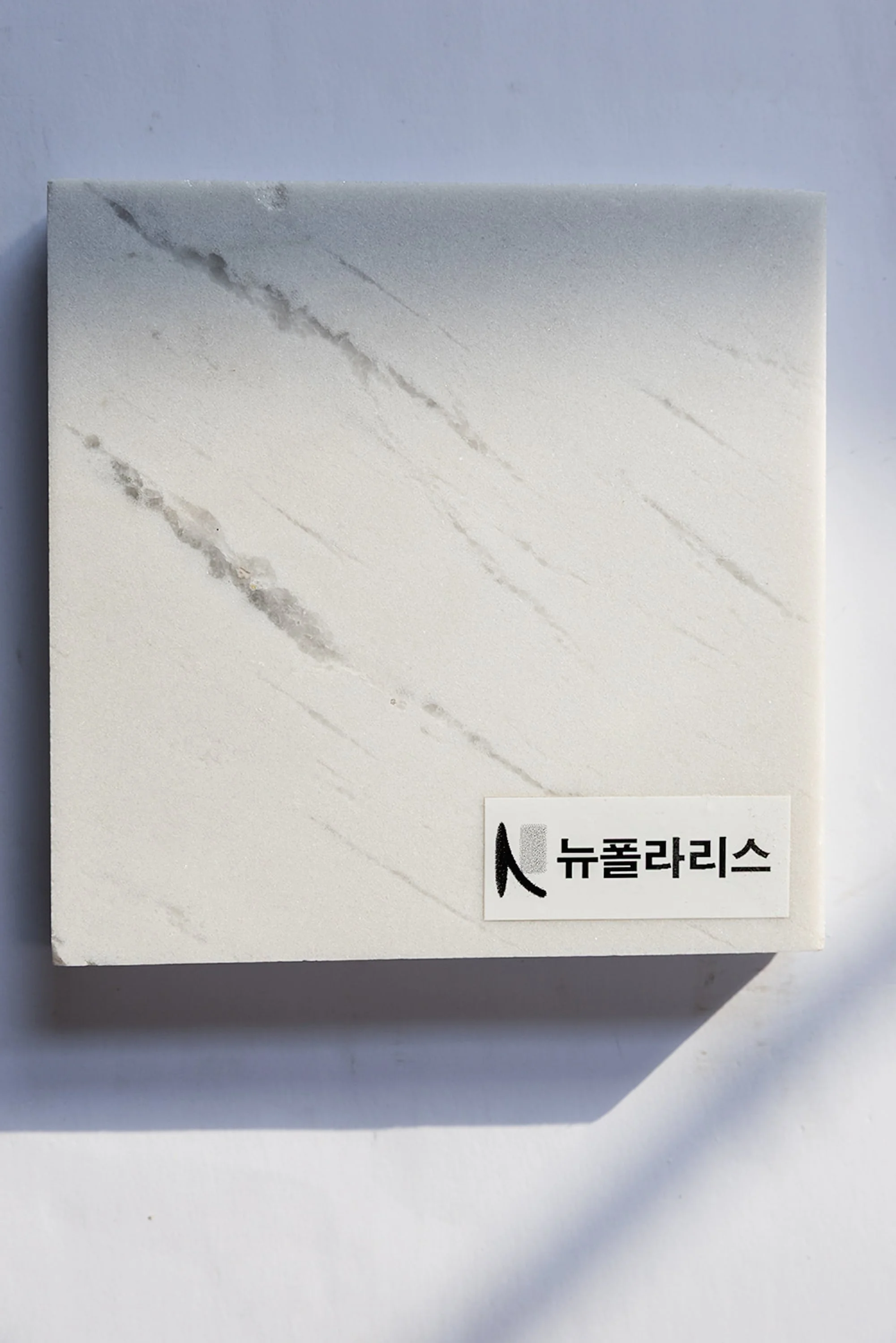 뉴폴라리스.jpg
