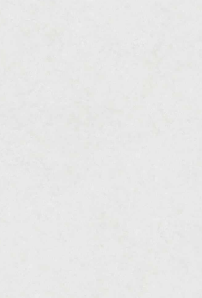라임스톤 화이트