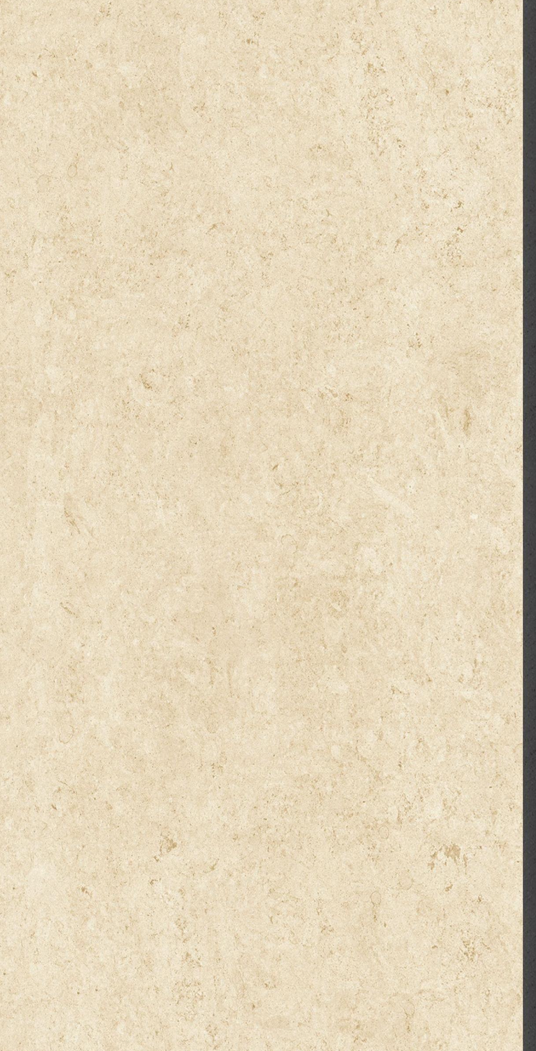 Chenxiang Beige_2.png