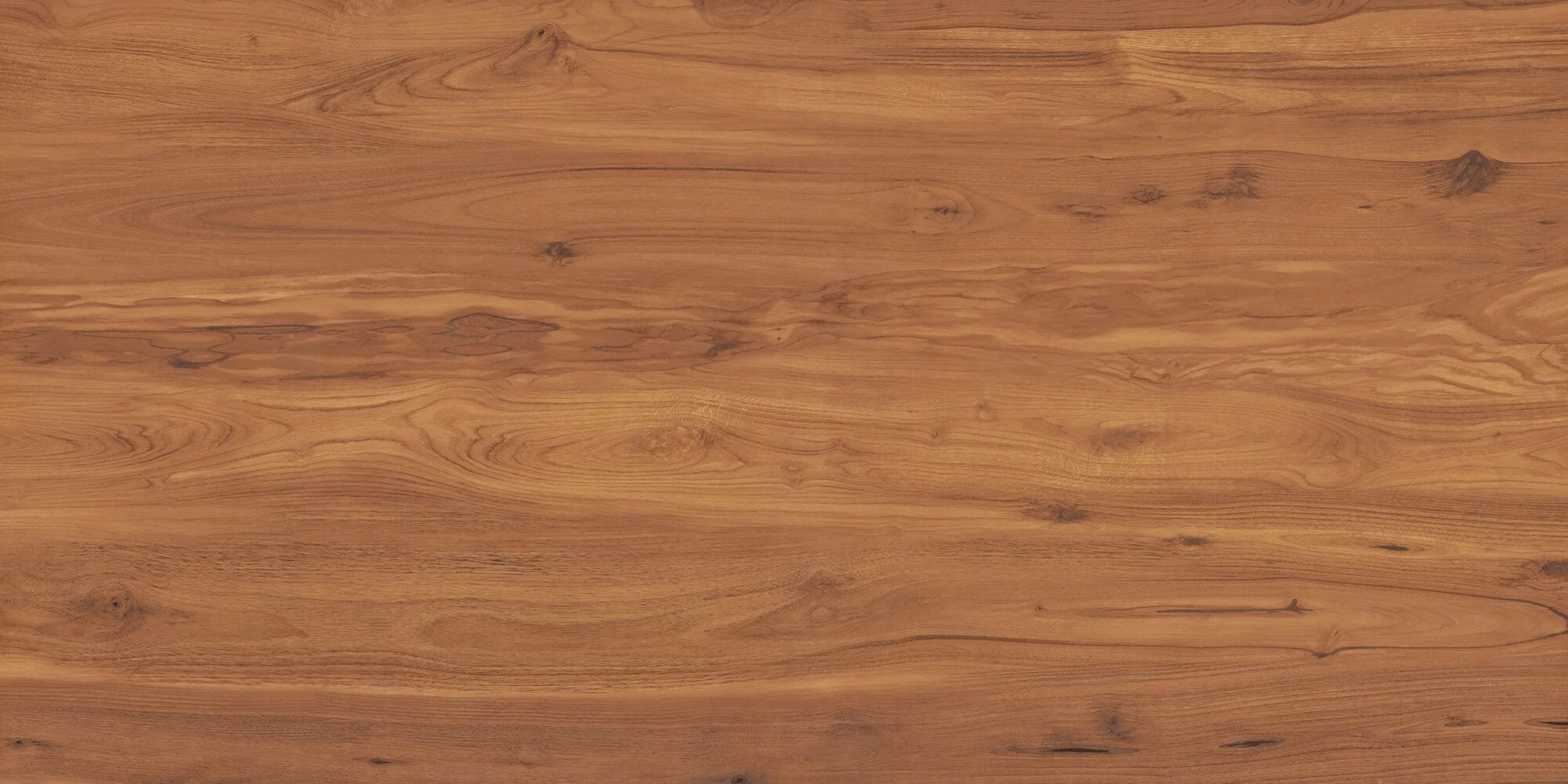 24.ROYAL TEAK 로얄 티크 01.jpg