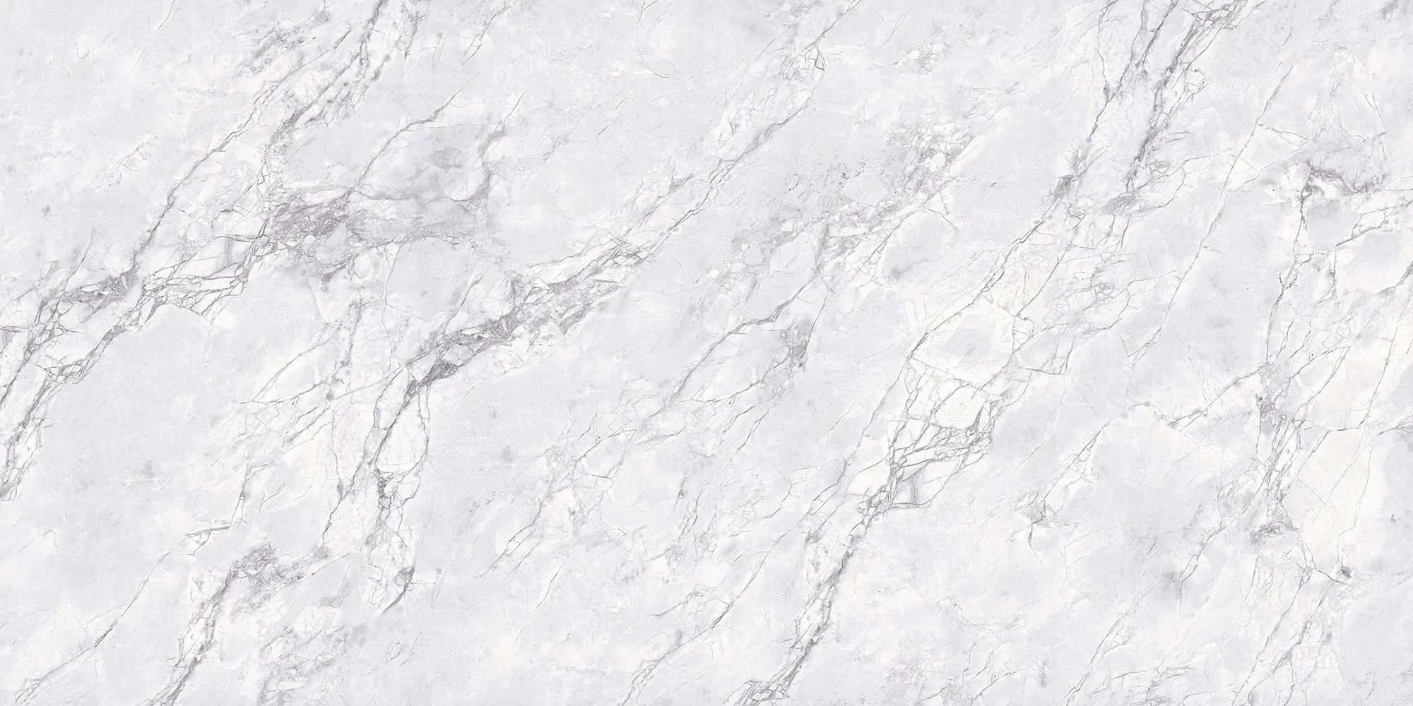 21.CARRARA WHITE 카라라 화이트.jpg