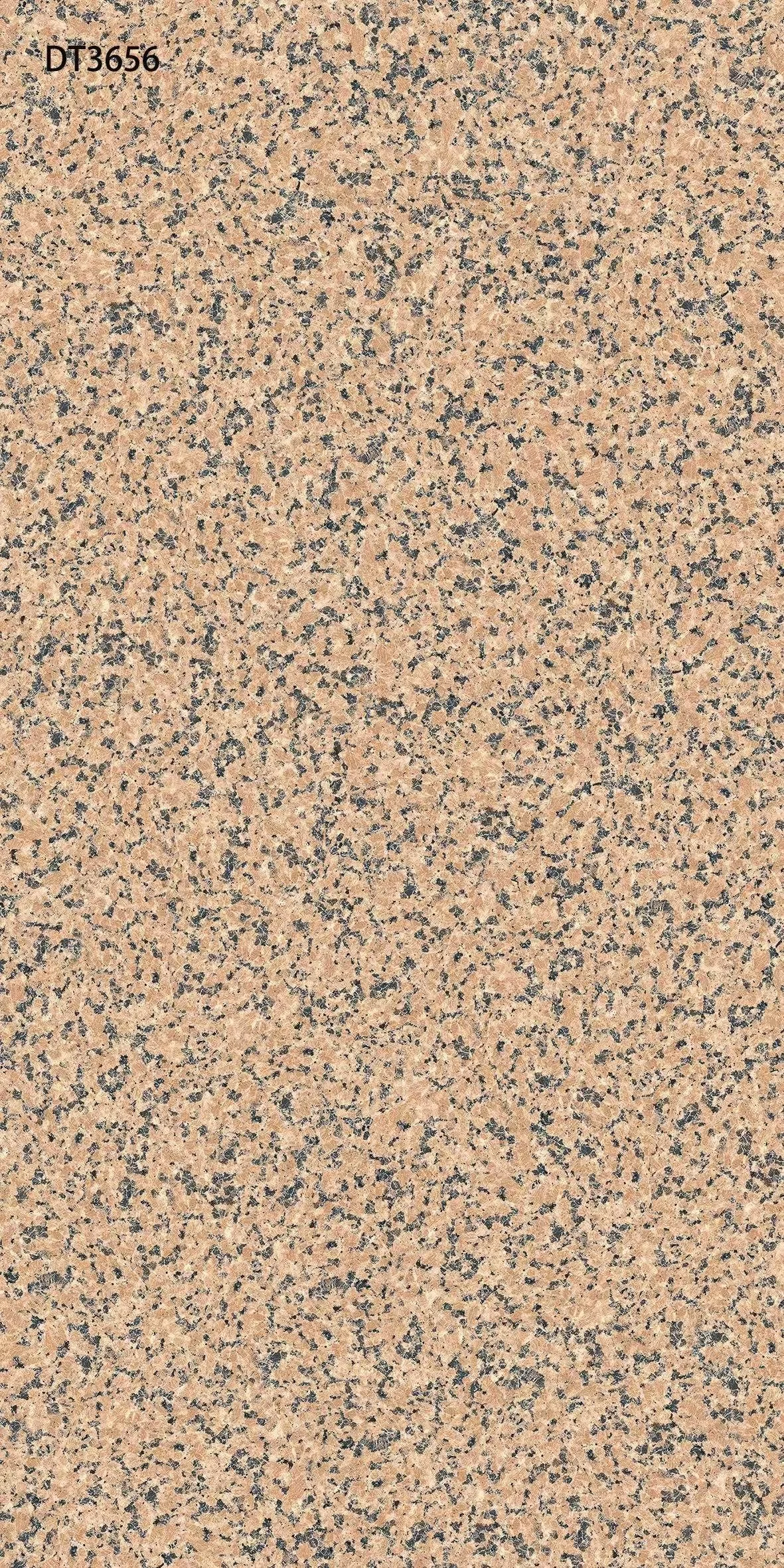 DT3656.jpg