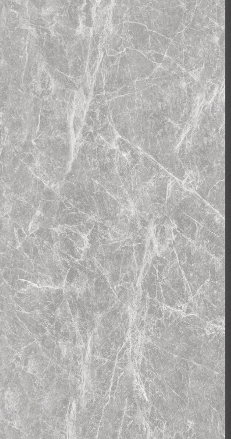 Hermes Light gray_2.png