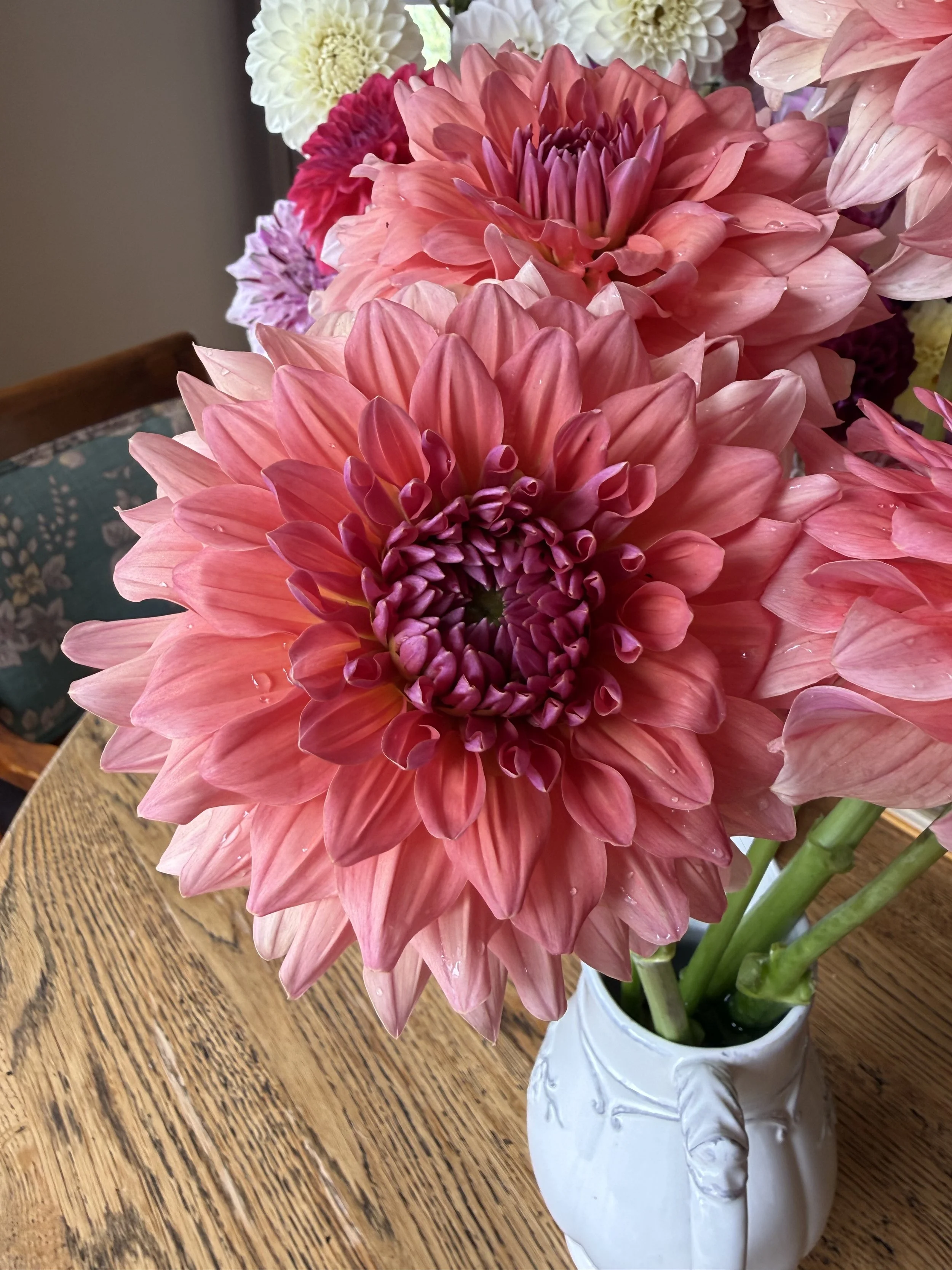 IMG_4153.jpeg