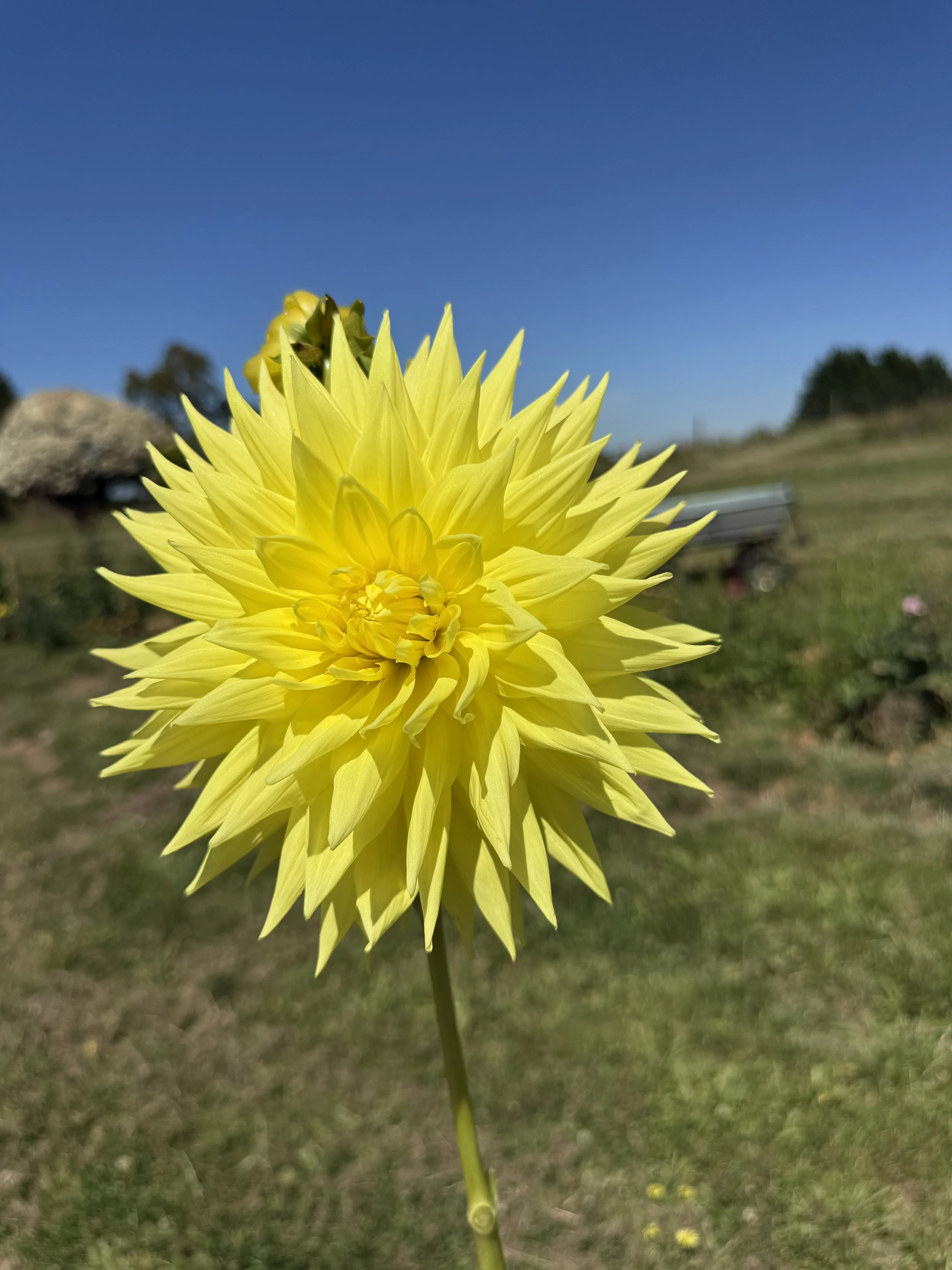 IMG_3182.jpeg