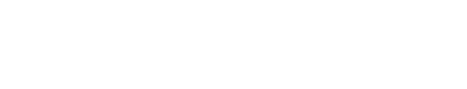 The Chronicle Logo
